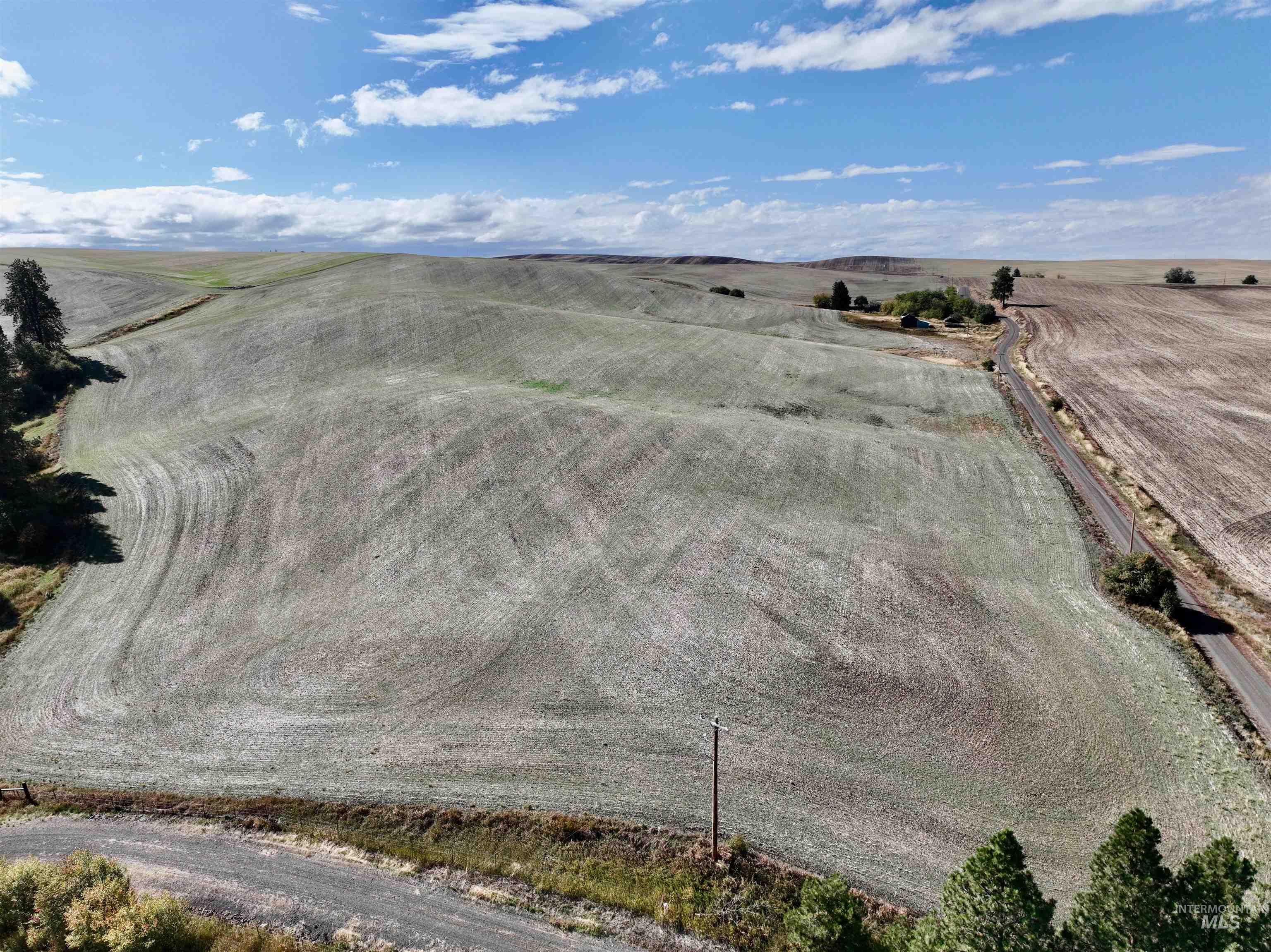 TBD Central Ridge Rd, Craigmont, Idaho 83523, Land For Sale, Price $480,000,MLS 98980709