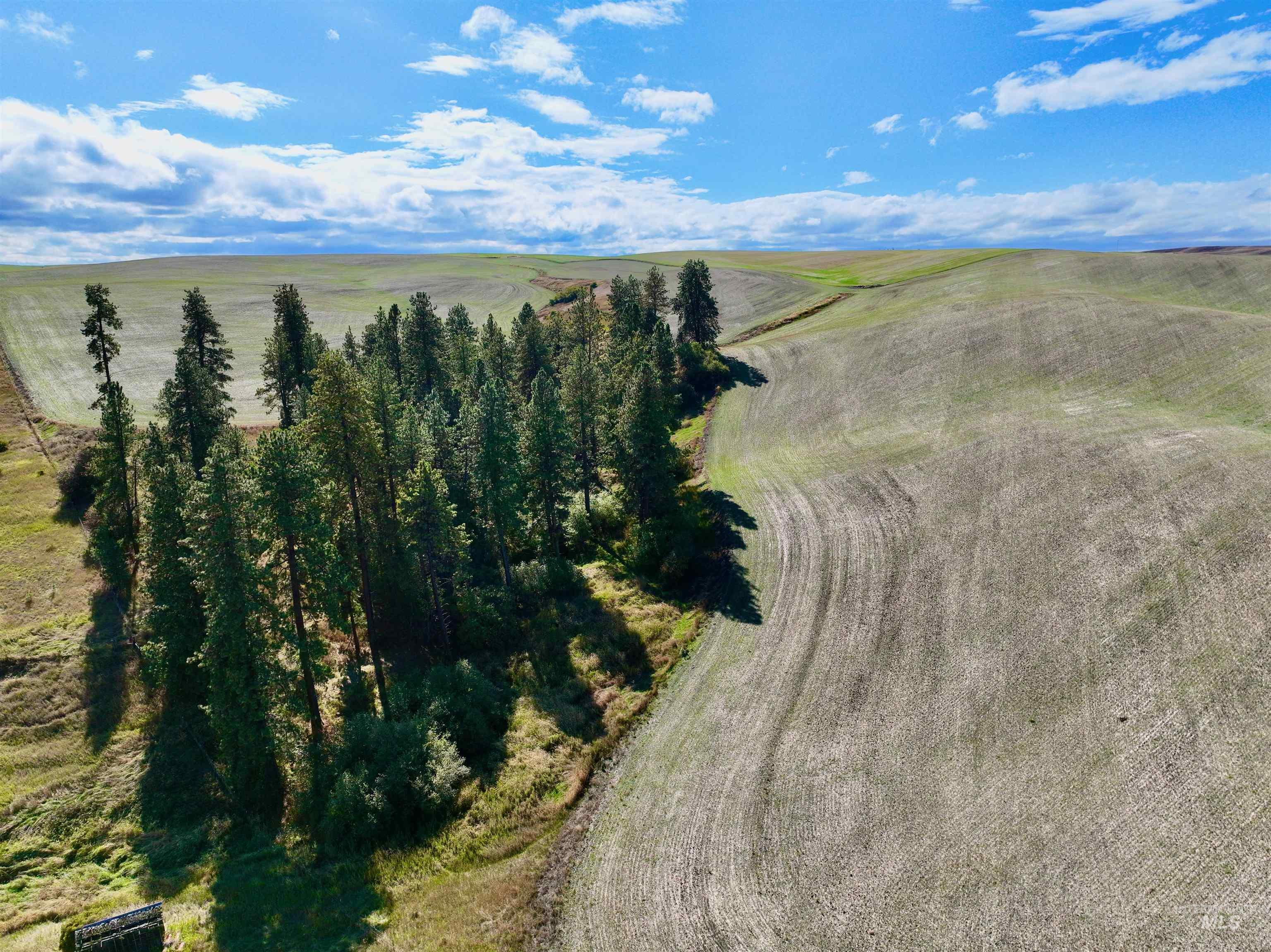 TBD Central Ridge Rd, Craigmont, Idaho 83523, Land For Sale, Price $480,000,MLS 98980709