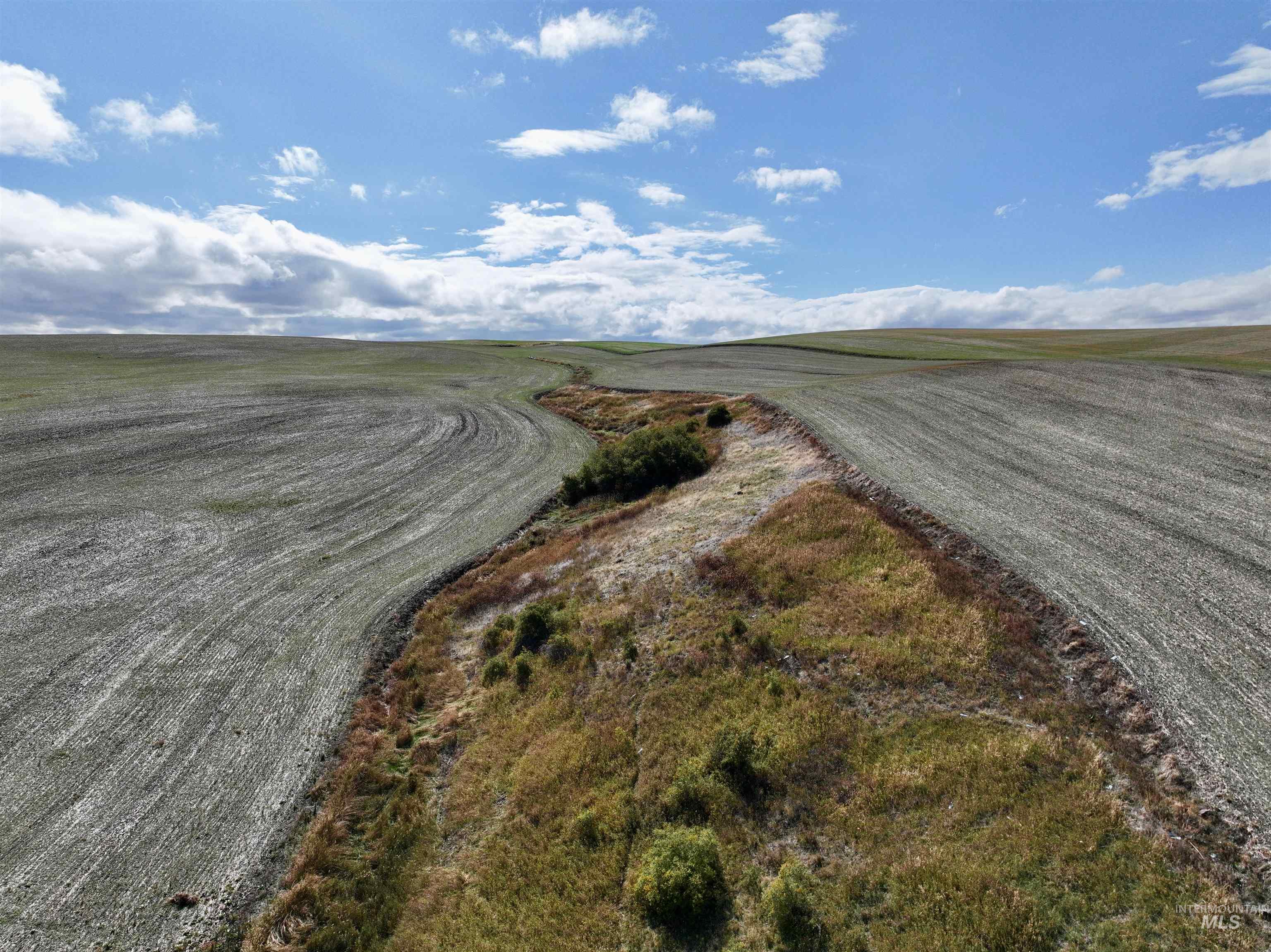 TBD Central Ridge Rd, Craigmont, Idaho 83523, Land For Sale, Price $480,000,MLS 98980709