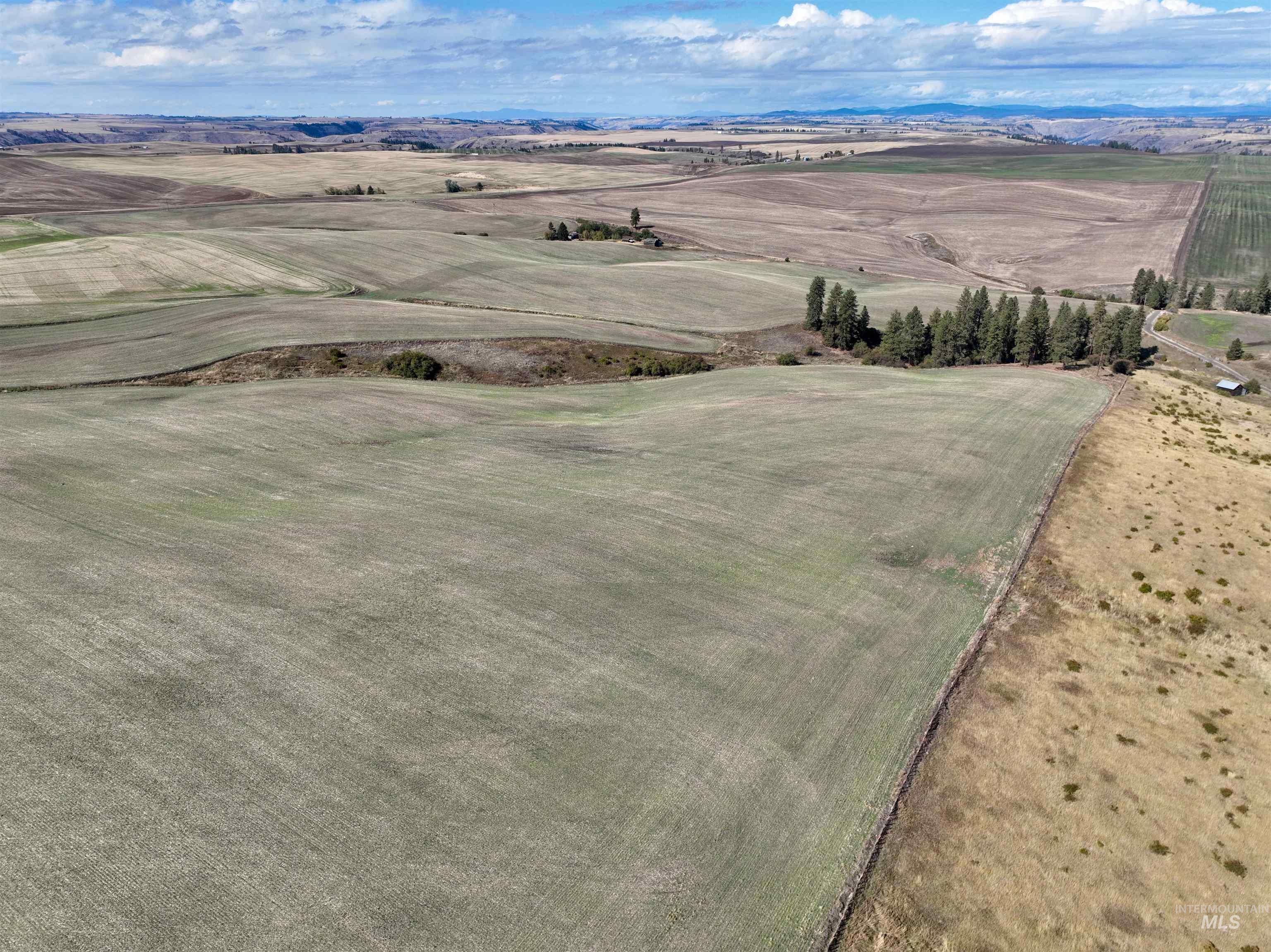 TBD Central Ridge Rd, Craigmont, Idaho 83523, Land For Sale, Price $480,000,MLS 98980709