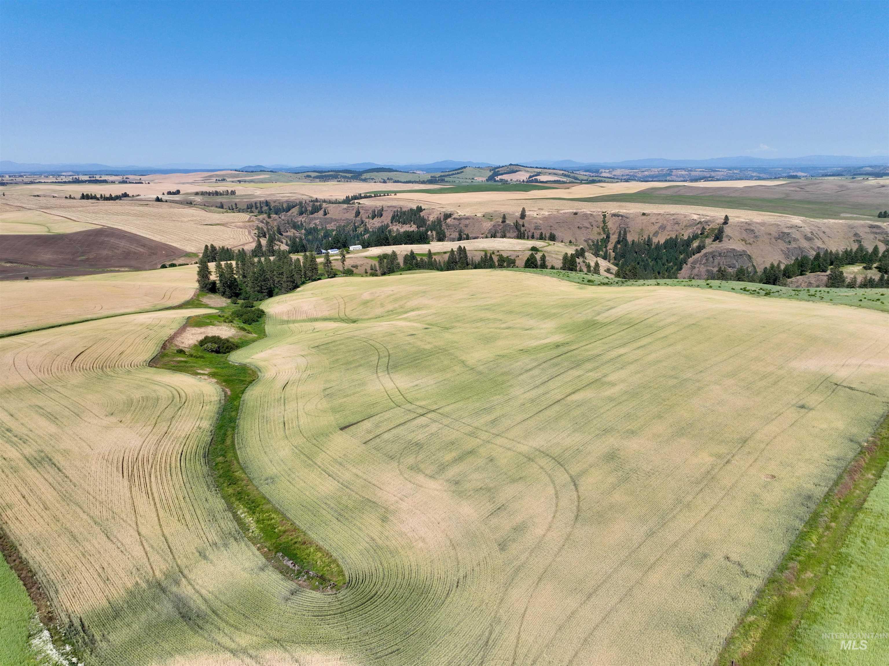 TBD Central Ridge Rd, Craigmont, Idaho 83523, Land For Sale, Price $480,000,MLS 98980709