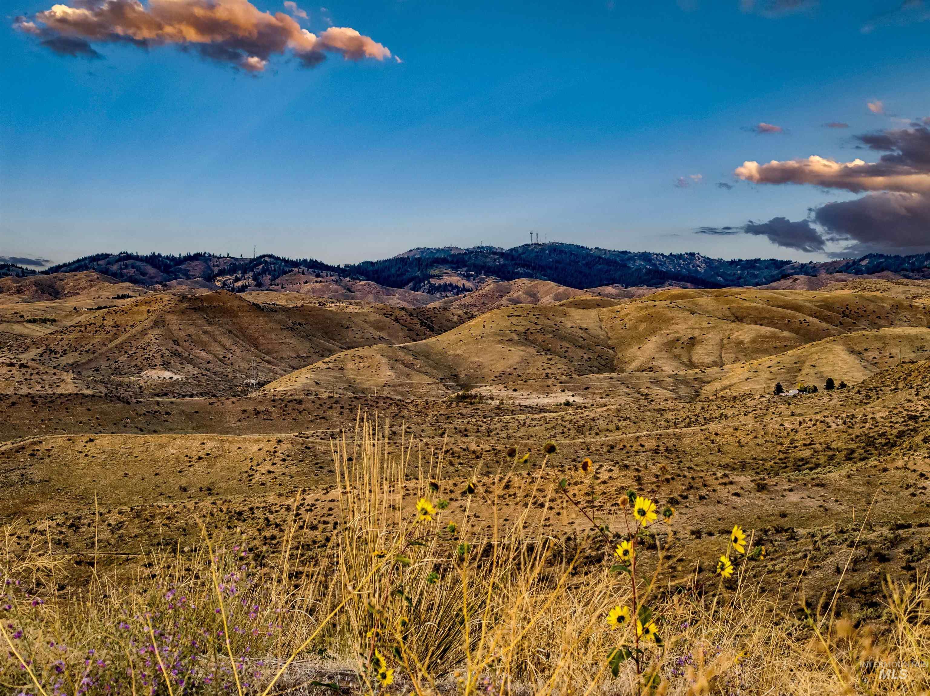 5129 N Becker Ridge Ln, Boise, Idaho 83702-1569, Land For Sale, Price $1,200,000,MLS 98980712