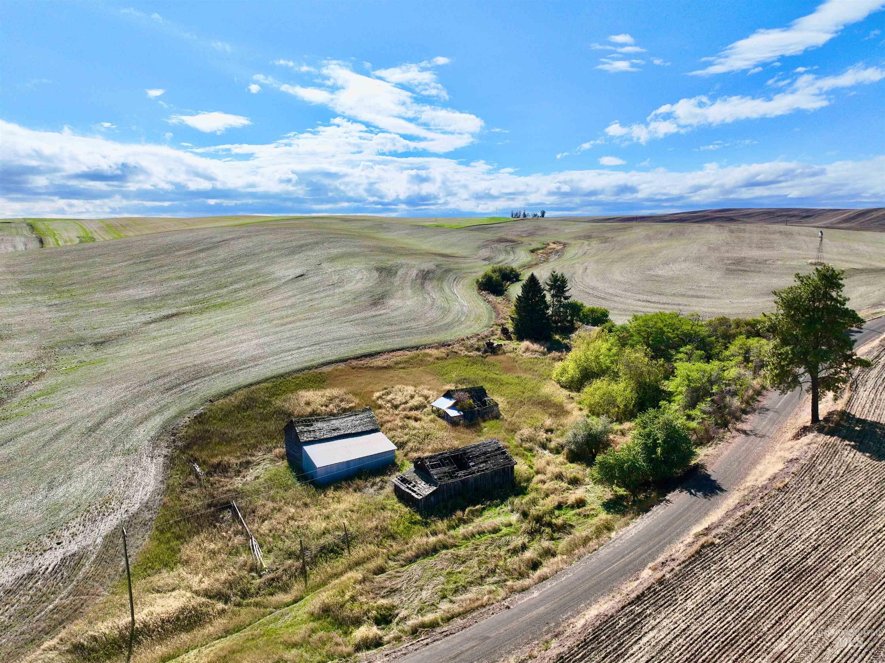 TBD Central Ridge Rd, Craigmont, Idaho 83523, Land For Sale, Price $480,000,MLS 98980713