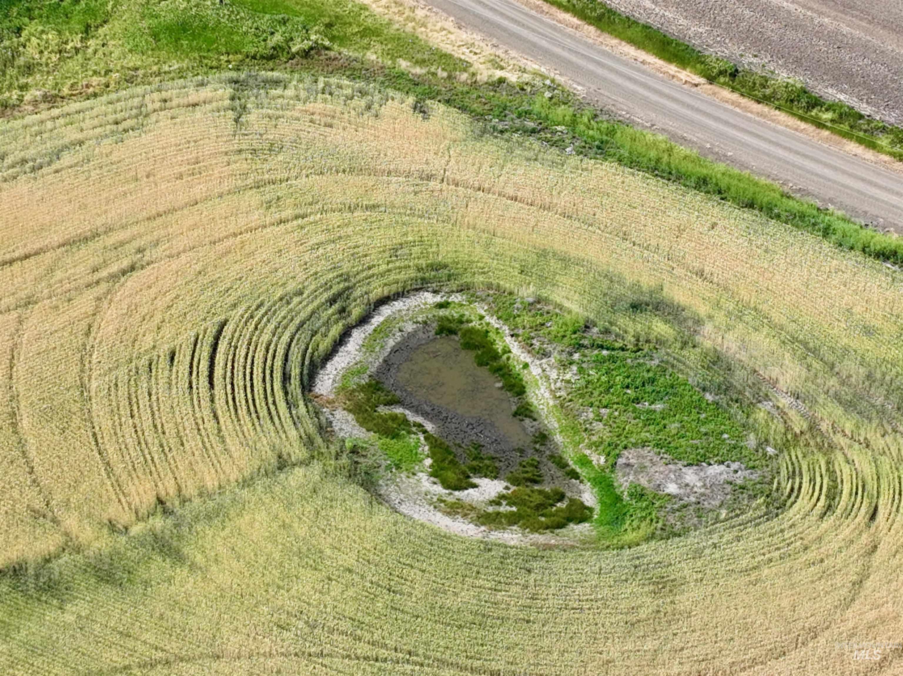 TBD Central Ridge Rd, Craigmont, Idaho 83523, Land For Sale, Price $480,000,MLS 98980713