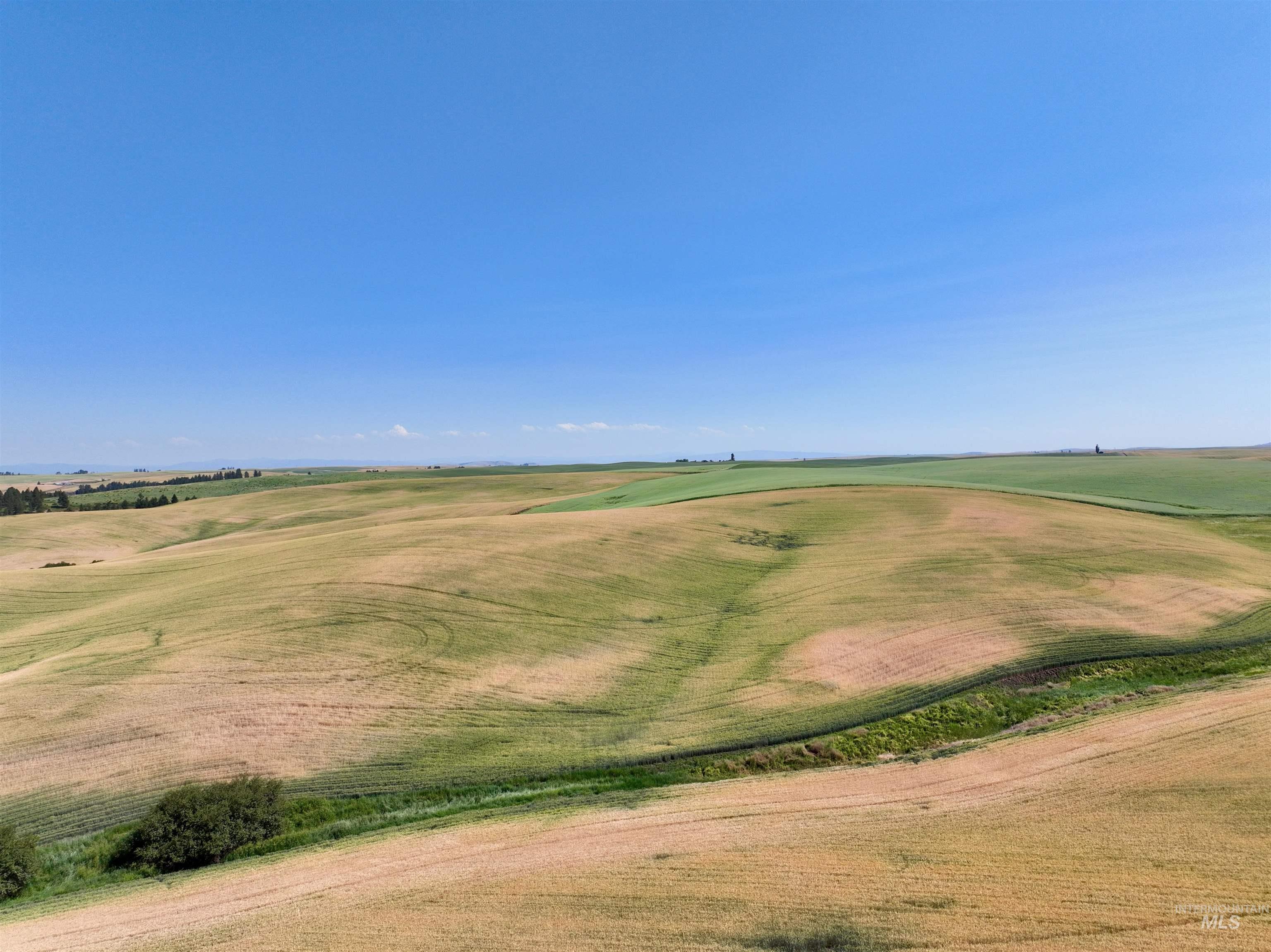 TBD Central Ridge Rd, Craigmont, Idaho 83523, Land For Sale, Price $480,000,MLS 98980713