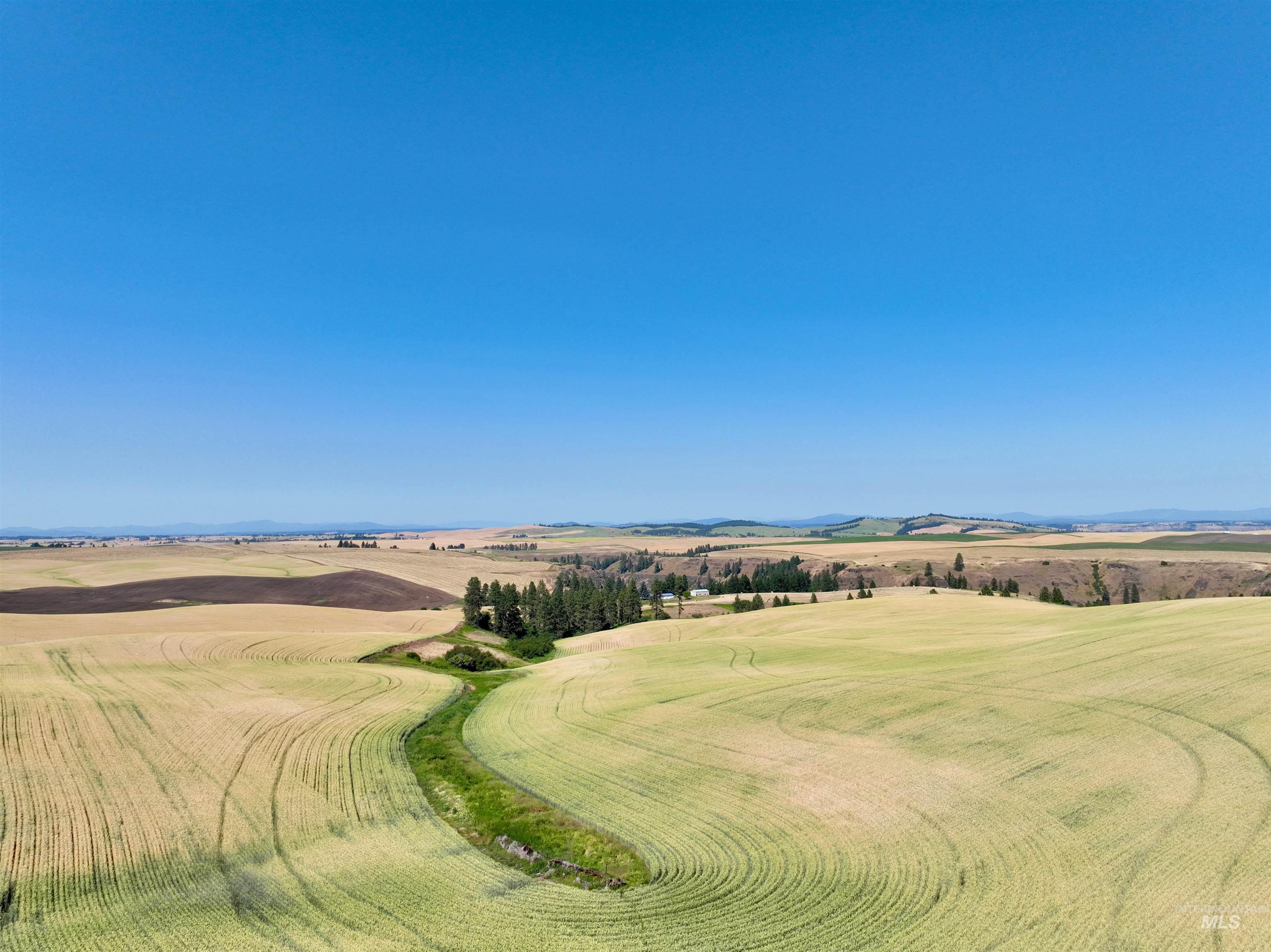 TBD Central Ridge Rd, Craigmont, Idaho 83523, Land For Sale, Price $480,000,MLS 98980713