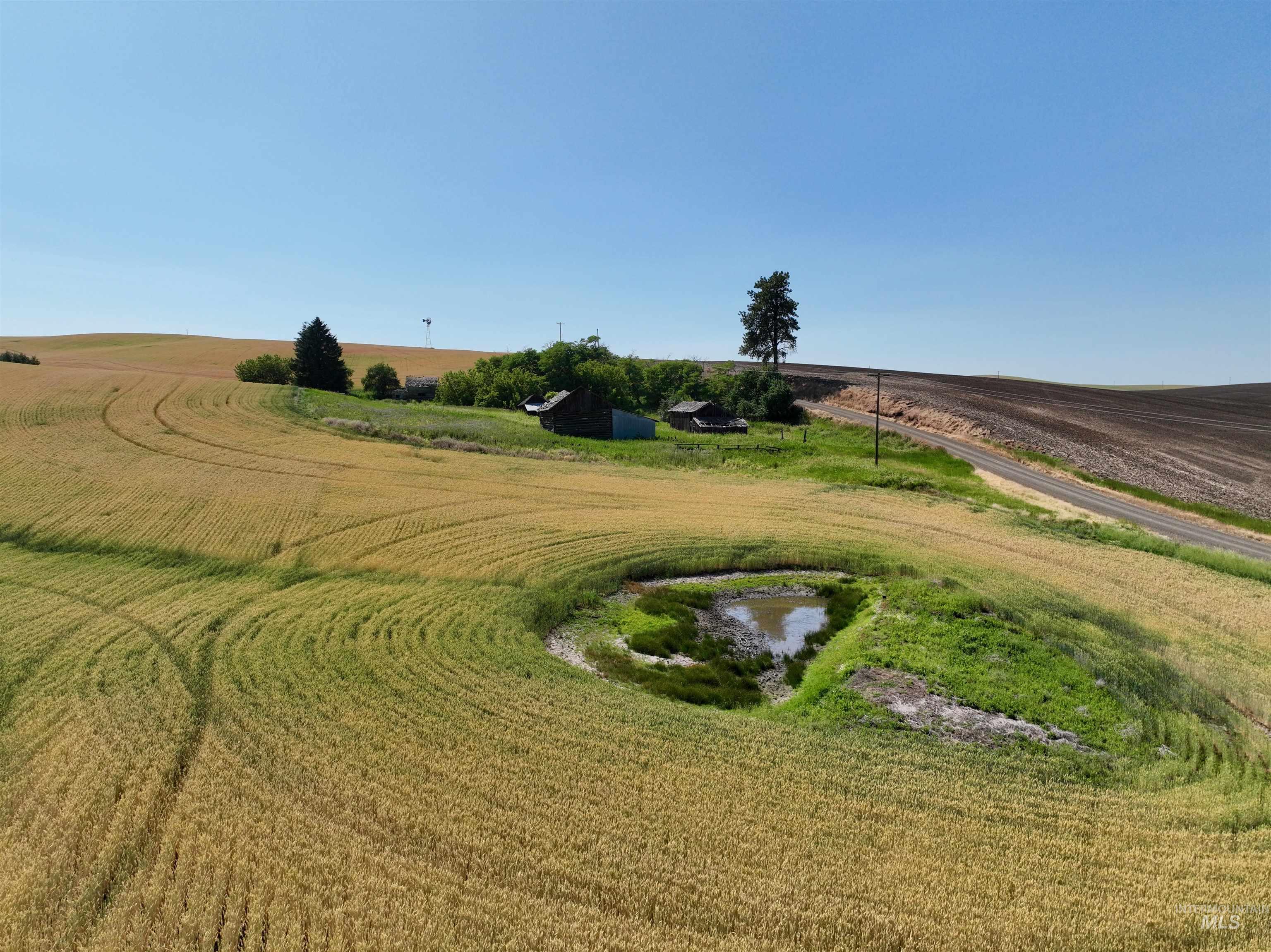 TBD Central Ridge Rd, Craigmont, Idaho 83523, Land For Sale, Price $480,000,MLS 98980713