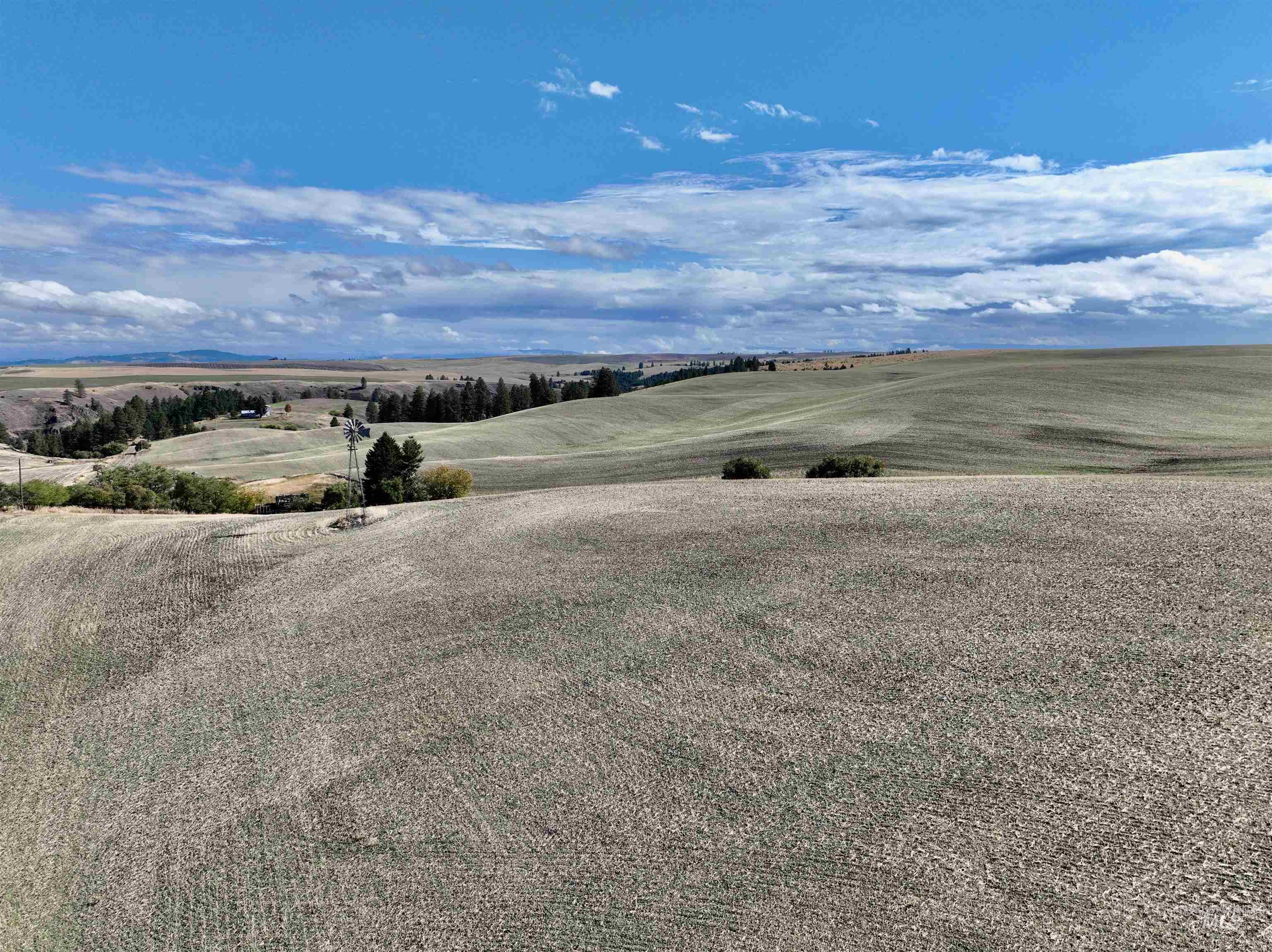 TBD Central Ridge Rd, Craigmont, Idaho 83523, Land For Sale, Price $480,000,MLS 98980713