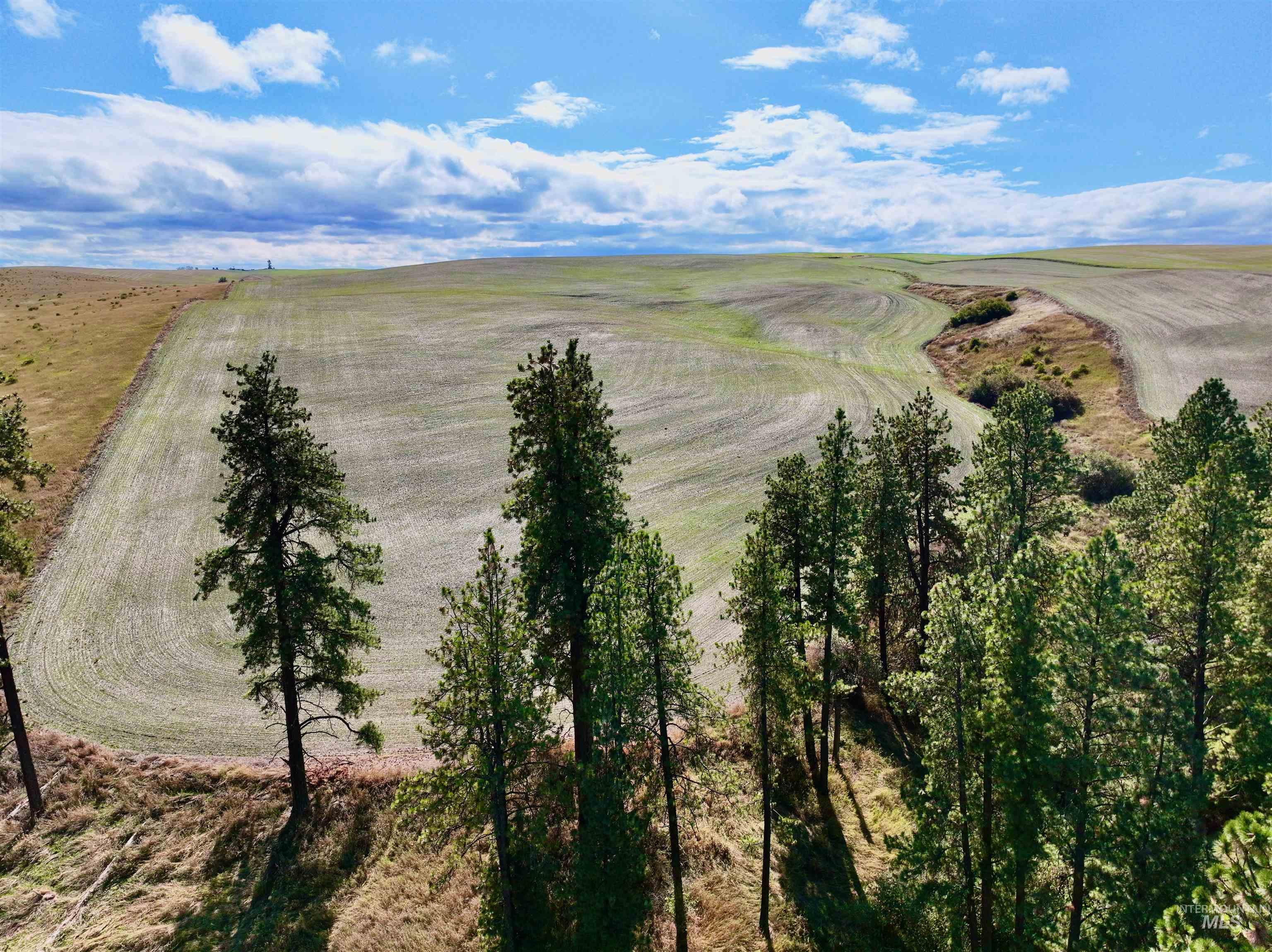 TBD Central Ridge Rd, Craigmont, Idaho 83523, Land For Sale, Price $480,000,MLS 98980713