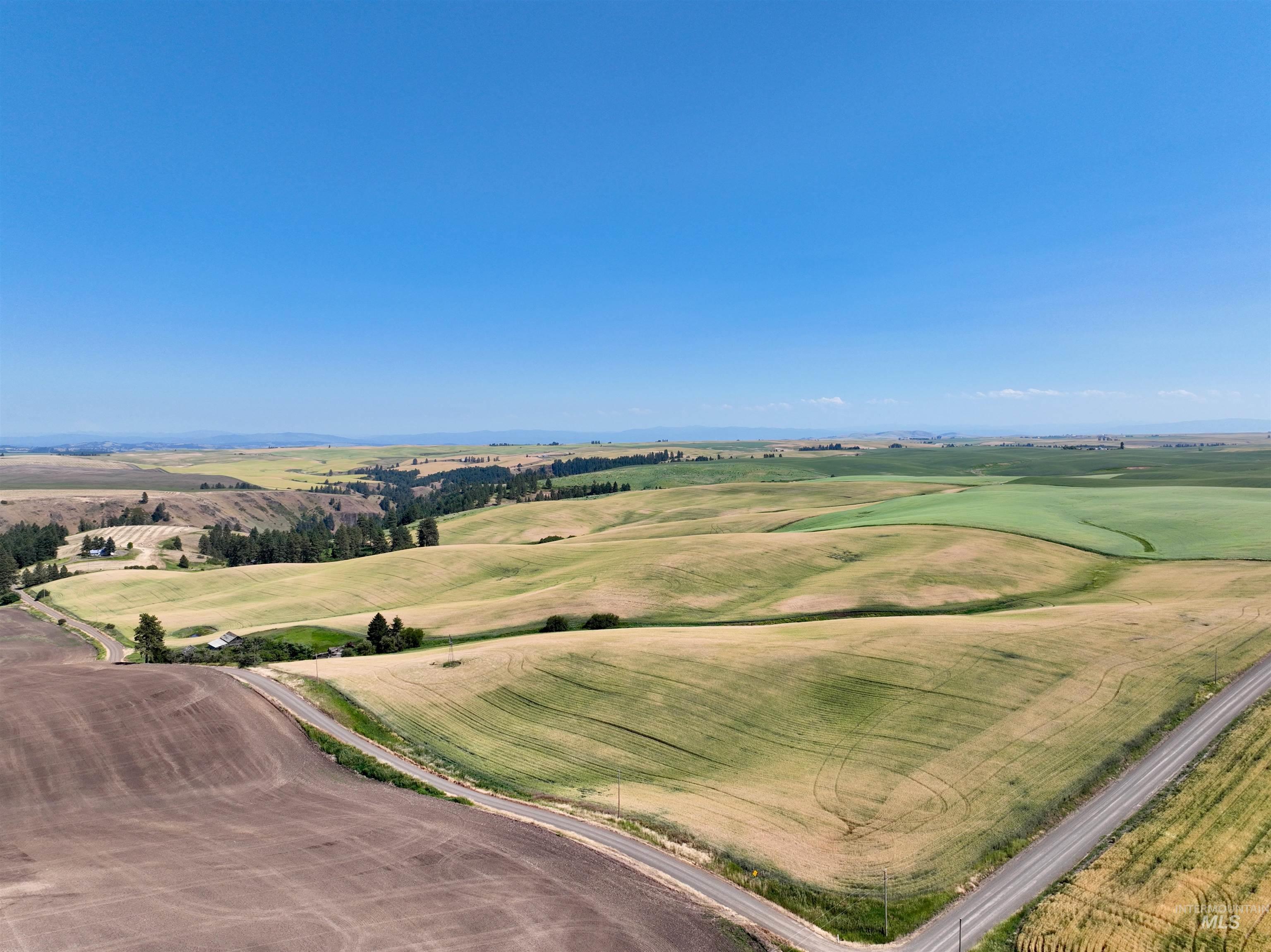 TBD Central Ridge Rd, Craigmont, Idaho 83523, Land For Sale, Price $480,000,MLS 98980713