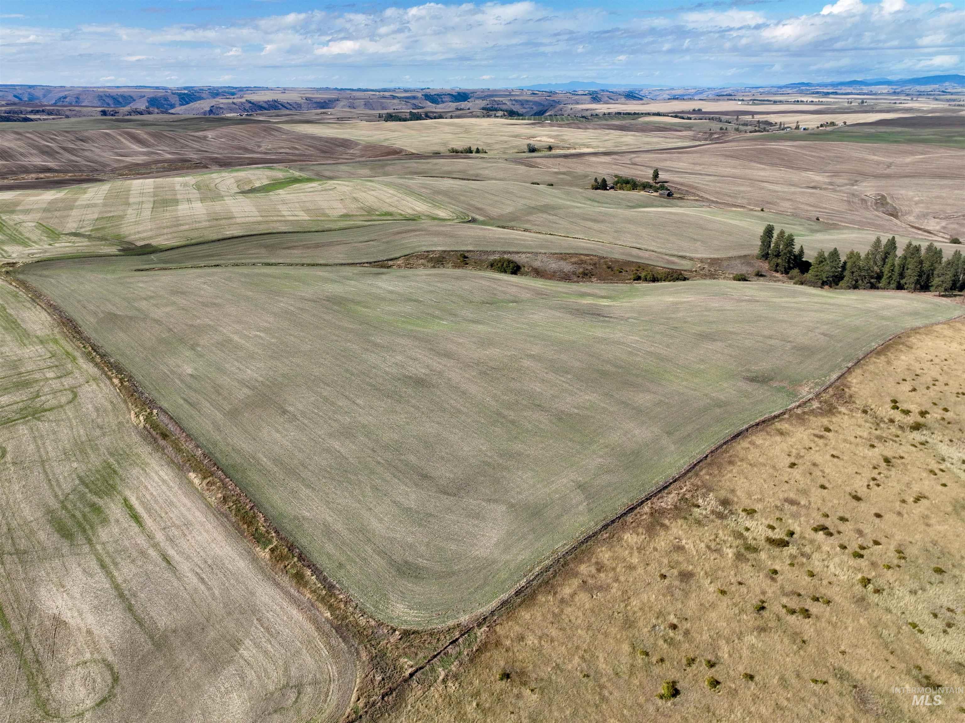 TBD Central Ridge Rd, Craigmont, Idaho 83523, Land For Sale, Price $480,000,MLS 98980713