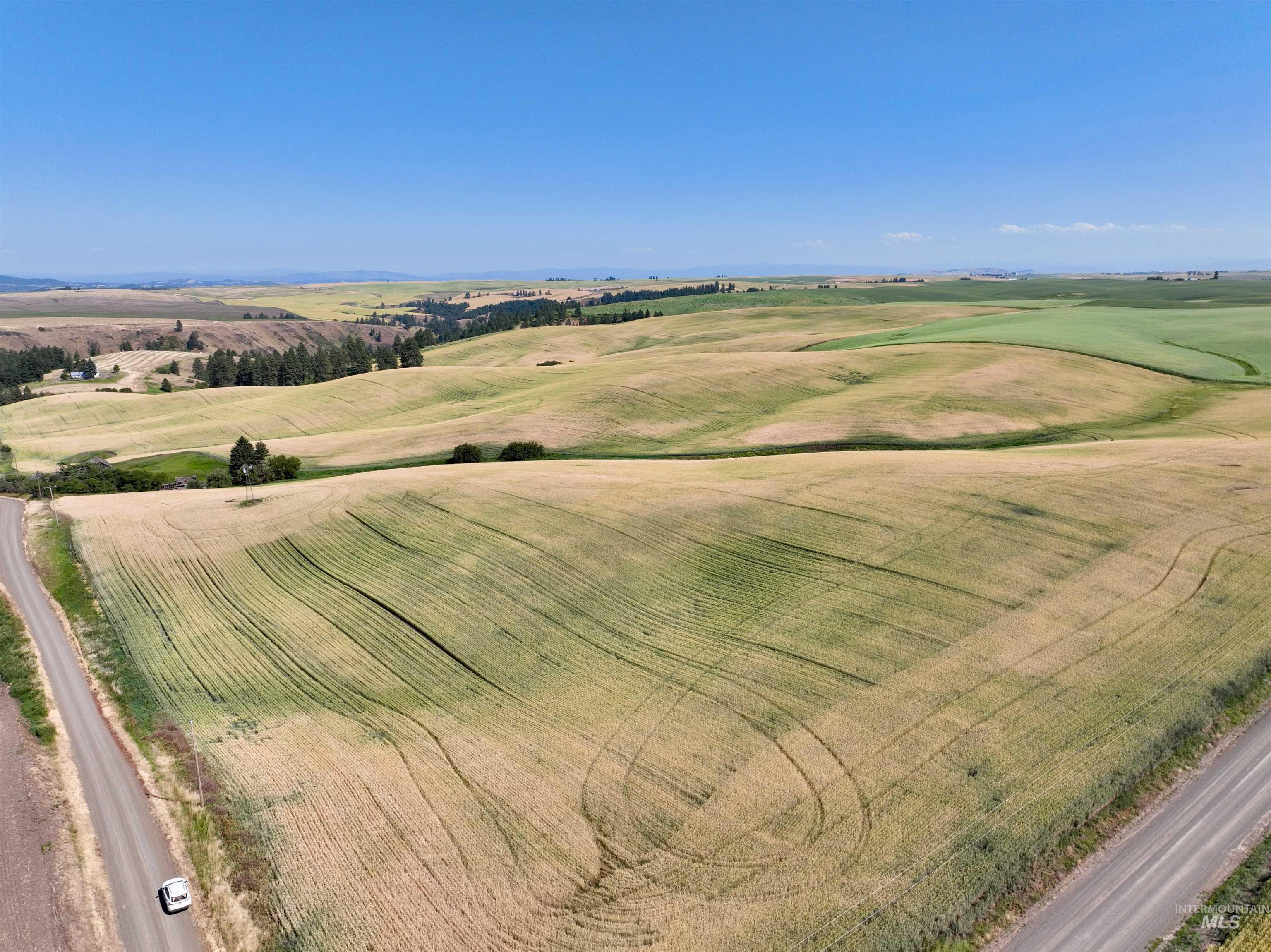 TBD Central Ridge Rd, Craigmont, Idaho 83523, Land For Sale, Price $480,000,MLS 98980713