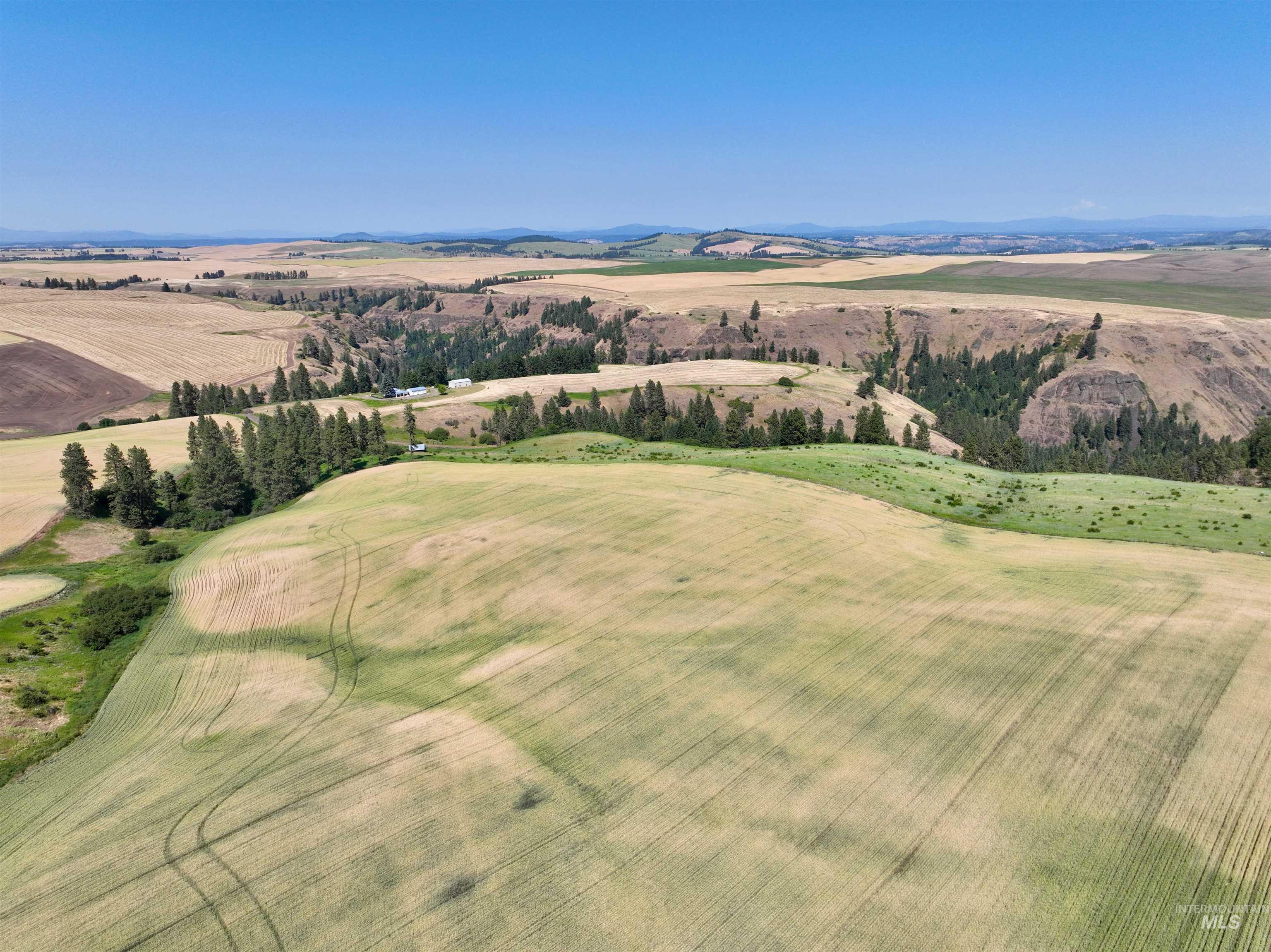 TBD Central Ridge Rd, Craigmont, Idaho 83523, Land For Sale, Price $480,000,MLS 98980713