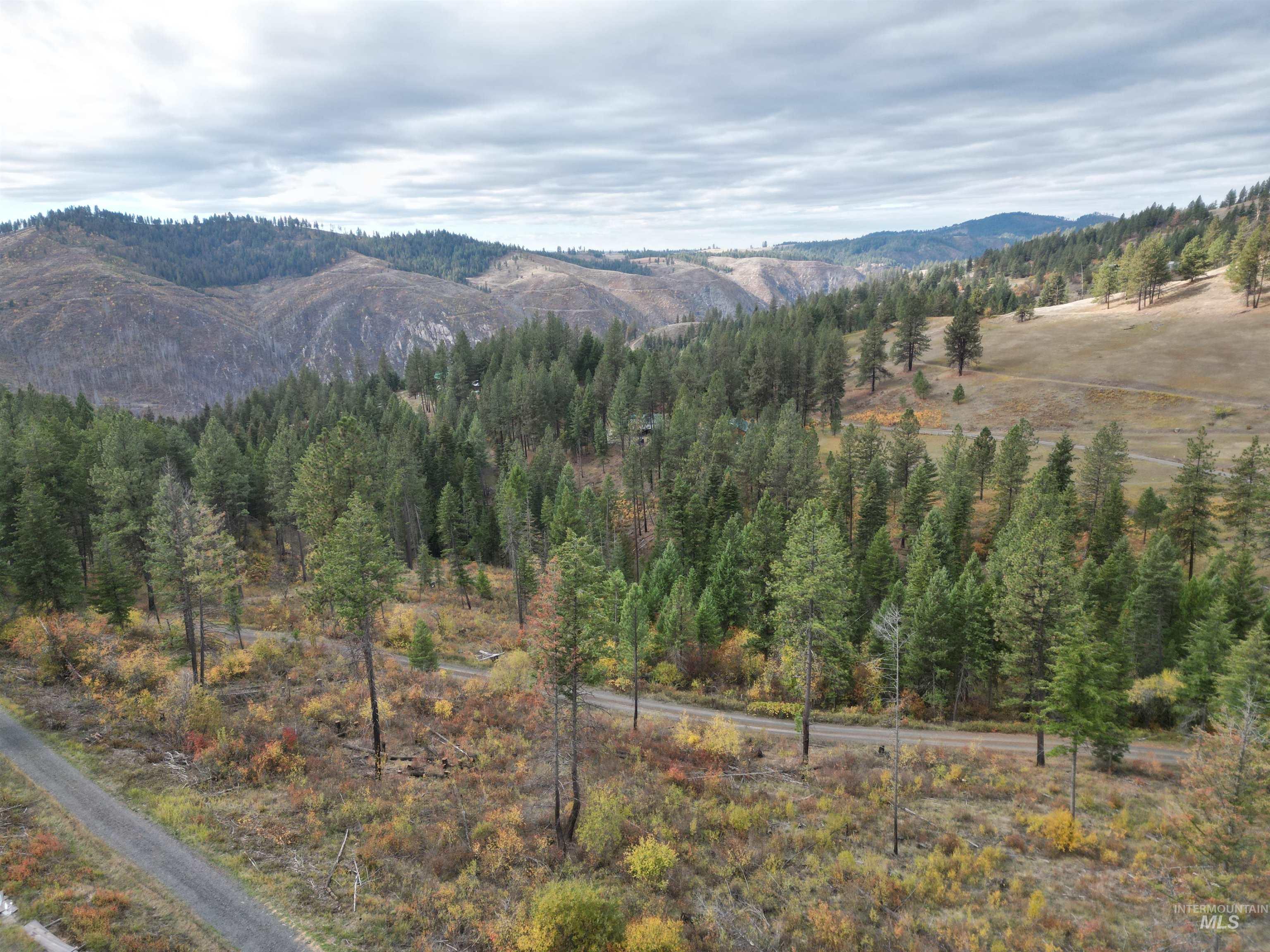 905 Hidden Valley Lane, Weippe, Idaho 83553, Land For Sale, Price $169,000,MLS 98980724