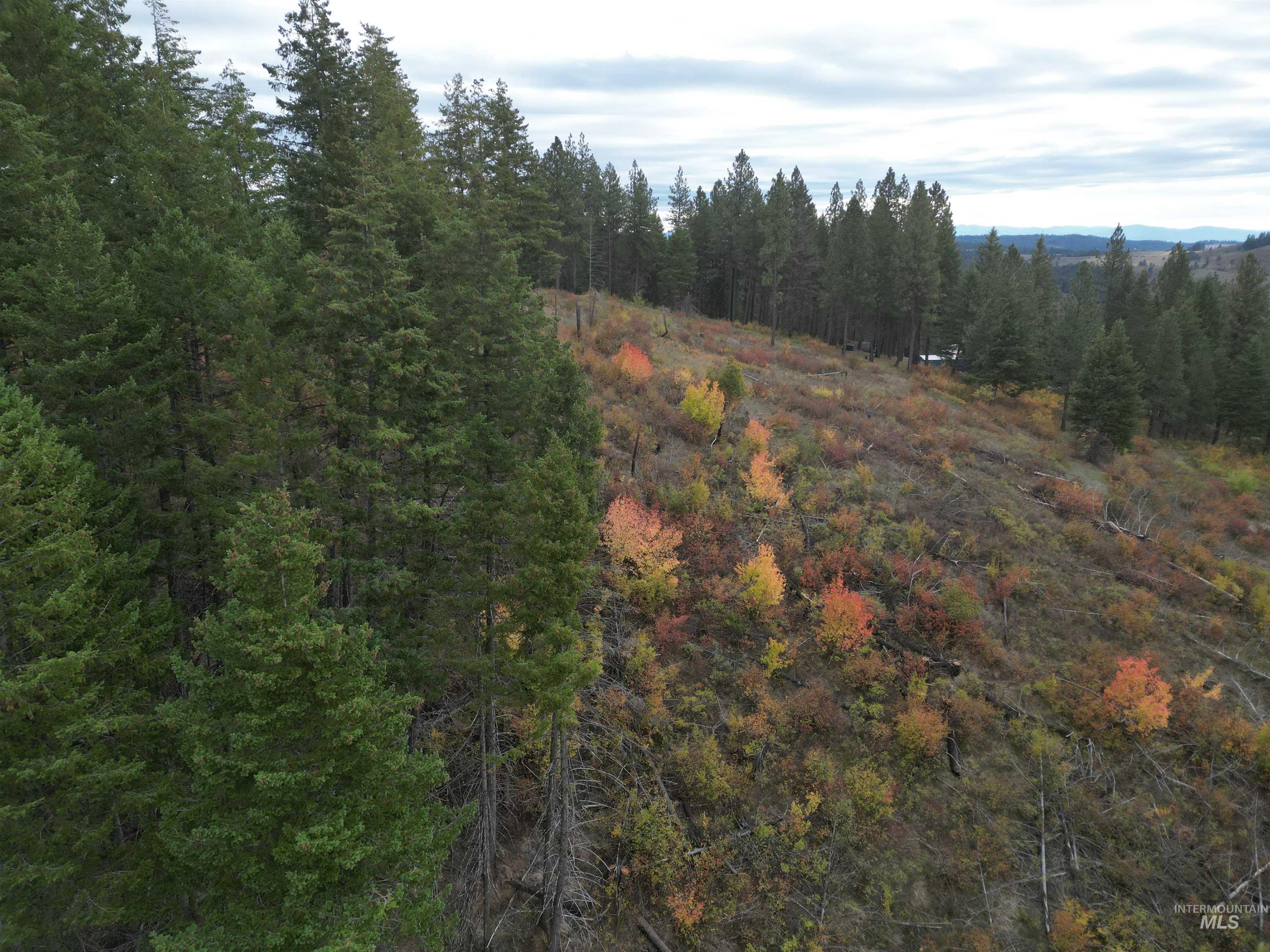 905 Hidden Valley Lane, Weippe, Idaho 83553, Land For Sale, Price $169,000,MLS 98980724