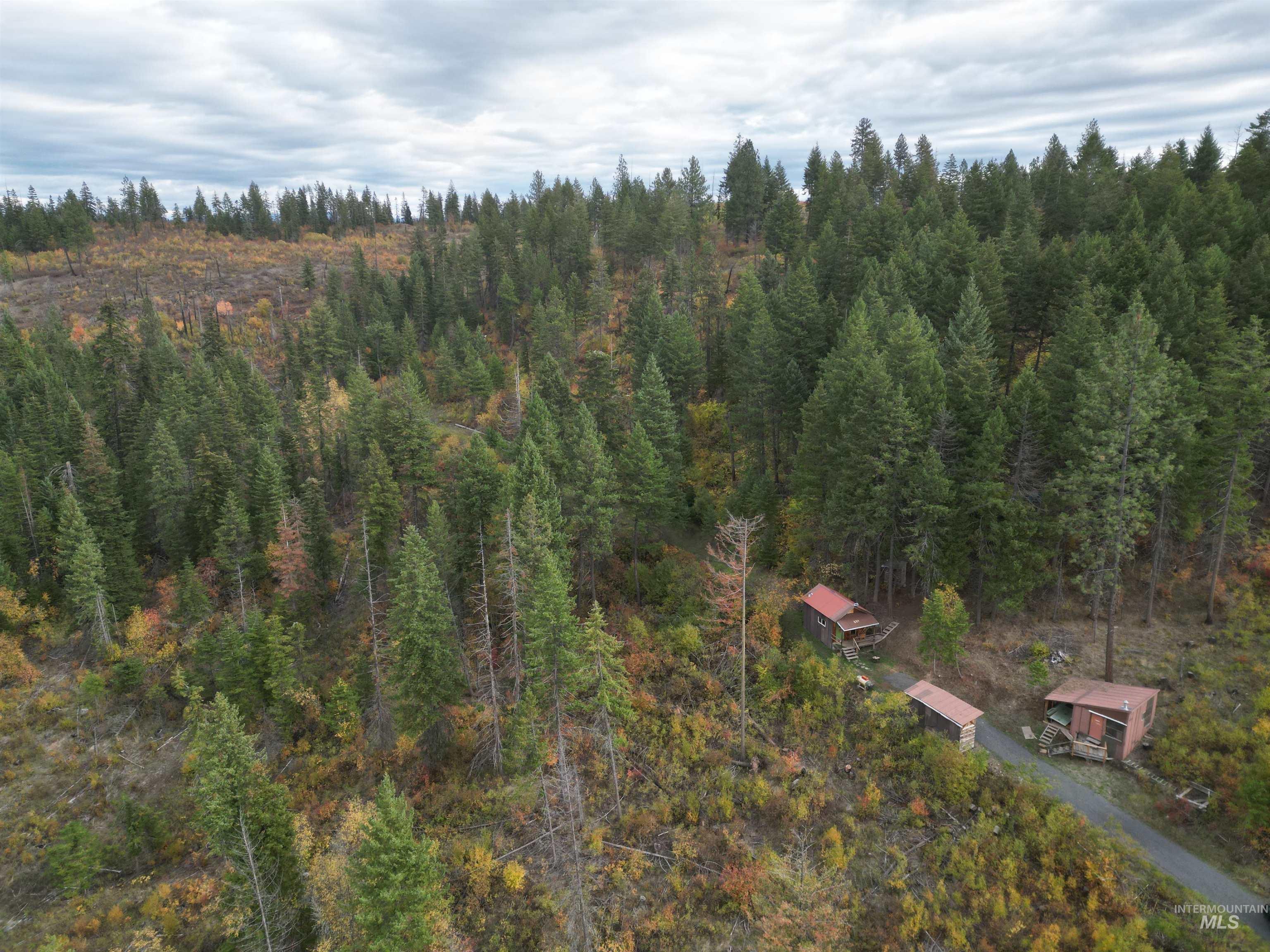 905 Hidden Valley Lane, Weippe, Idaho 83553, Land For Sale, Price $169,000,MLS 98980724