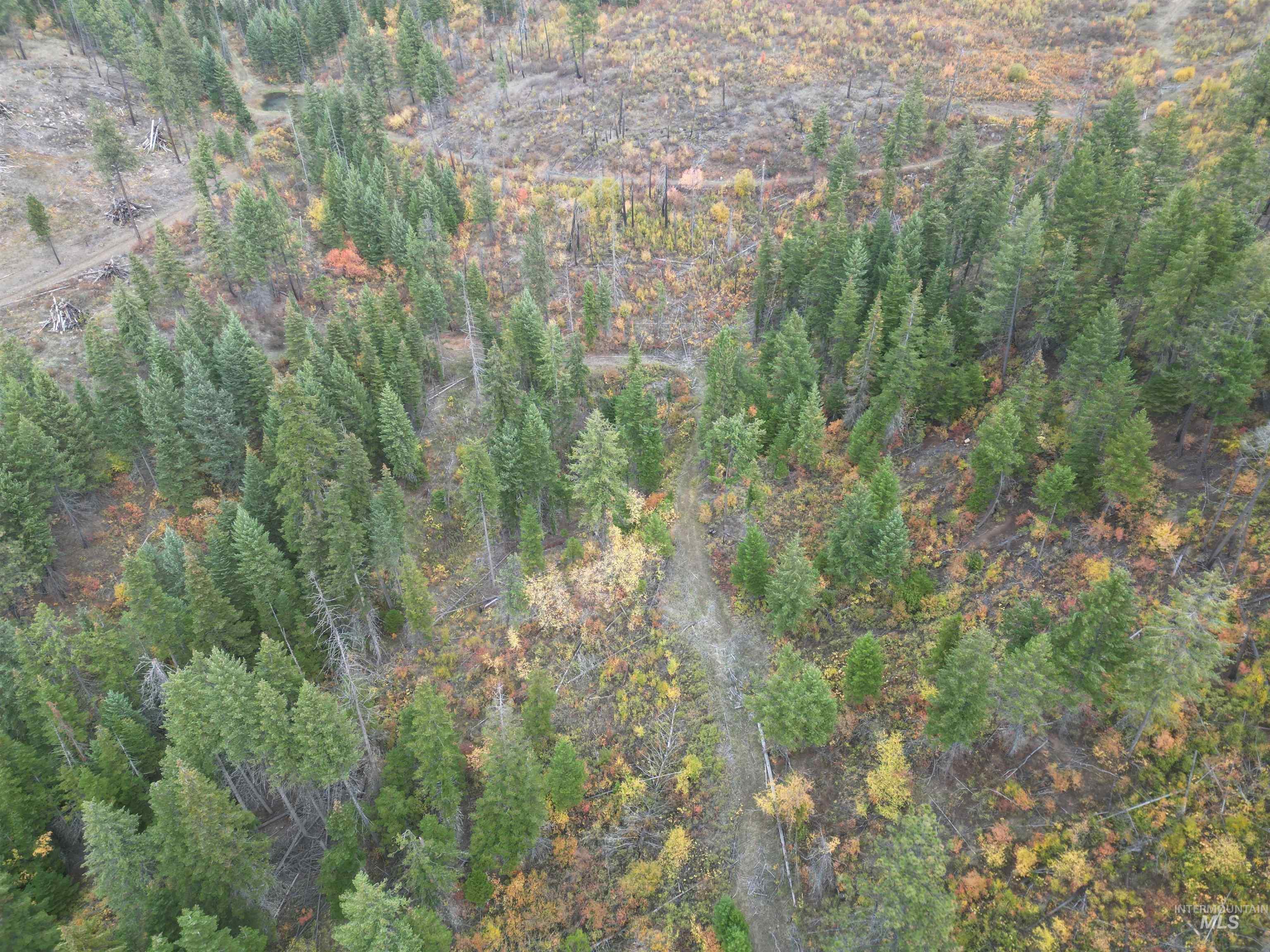 905 Hidden Valley Lane, Weippe, Idaho 83553, Land For Sale, Price $169,000,MLS 98980724