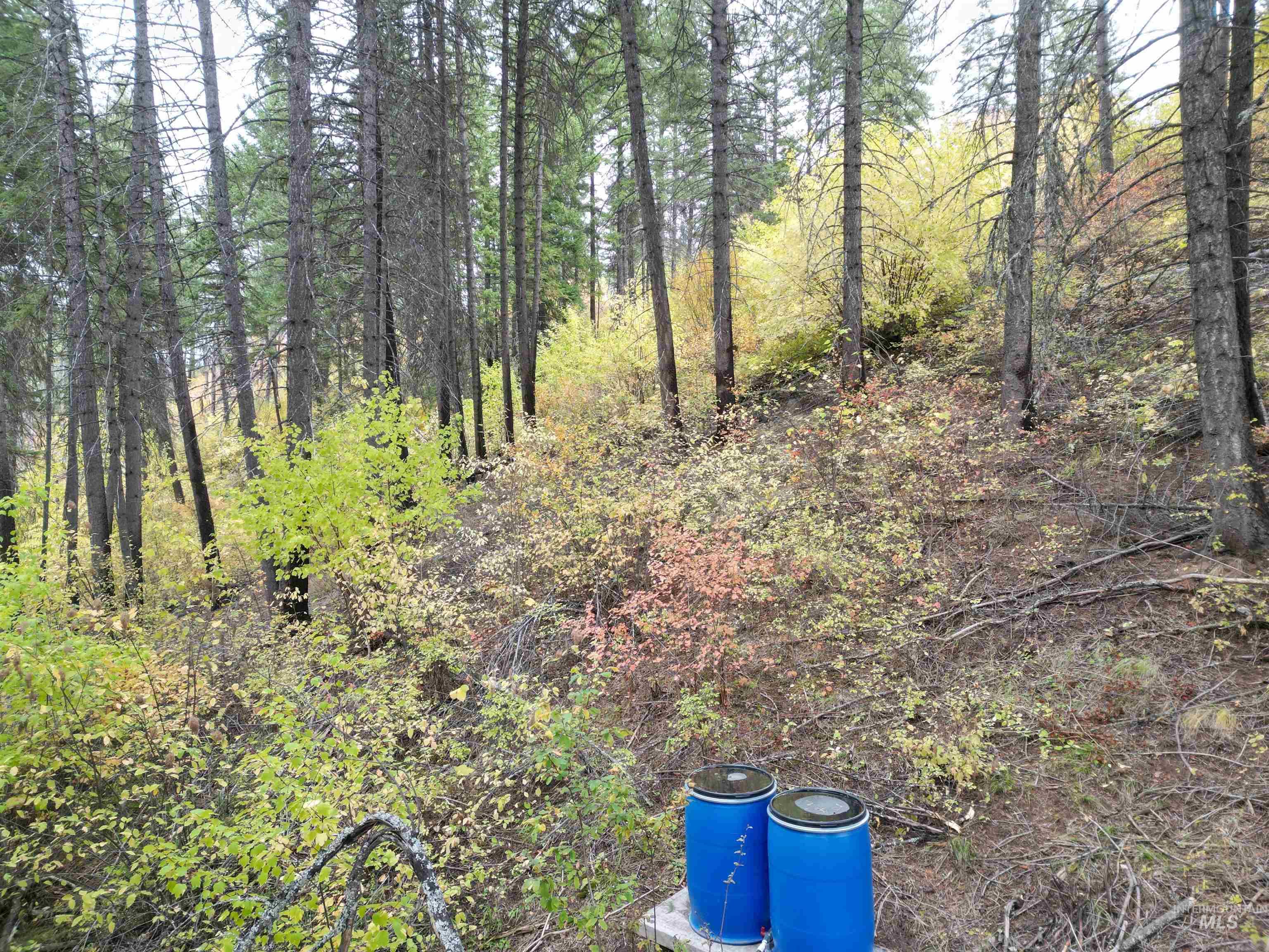 905 Hidden Valley Lane, Weippe, Idaho 83553, Land For Sale, Price $169,000,MLS 98980724