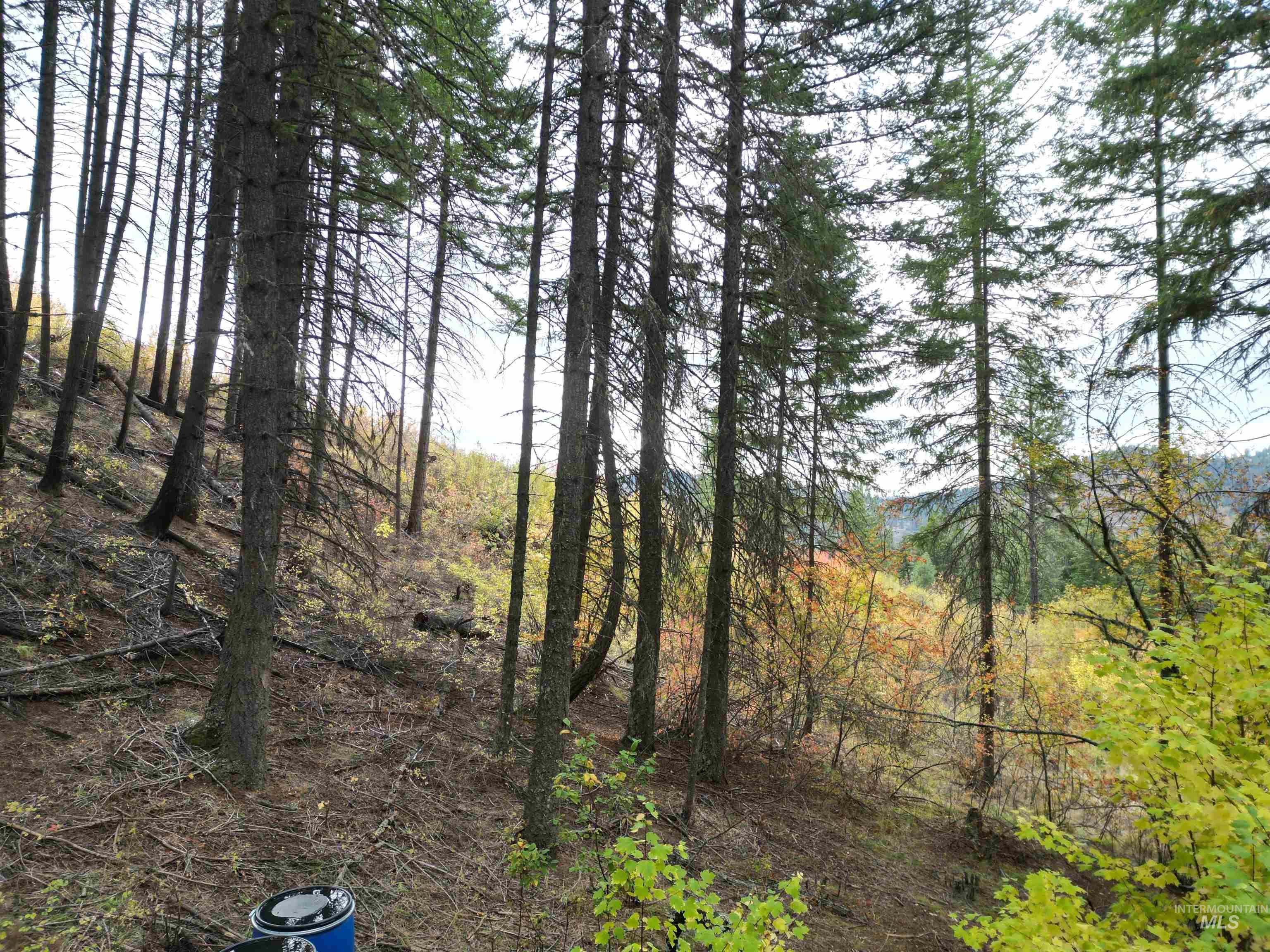 905 Hidden Valley Lane, Weippe, Idaho 83553, Land For Sale, Price $169,000,MLS 98980724