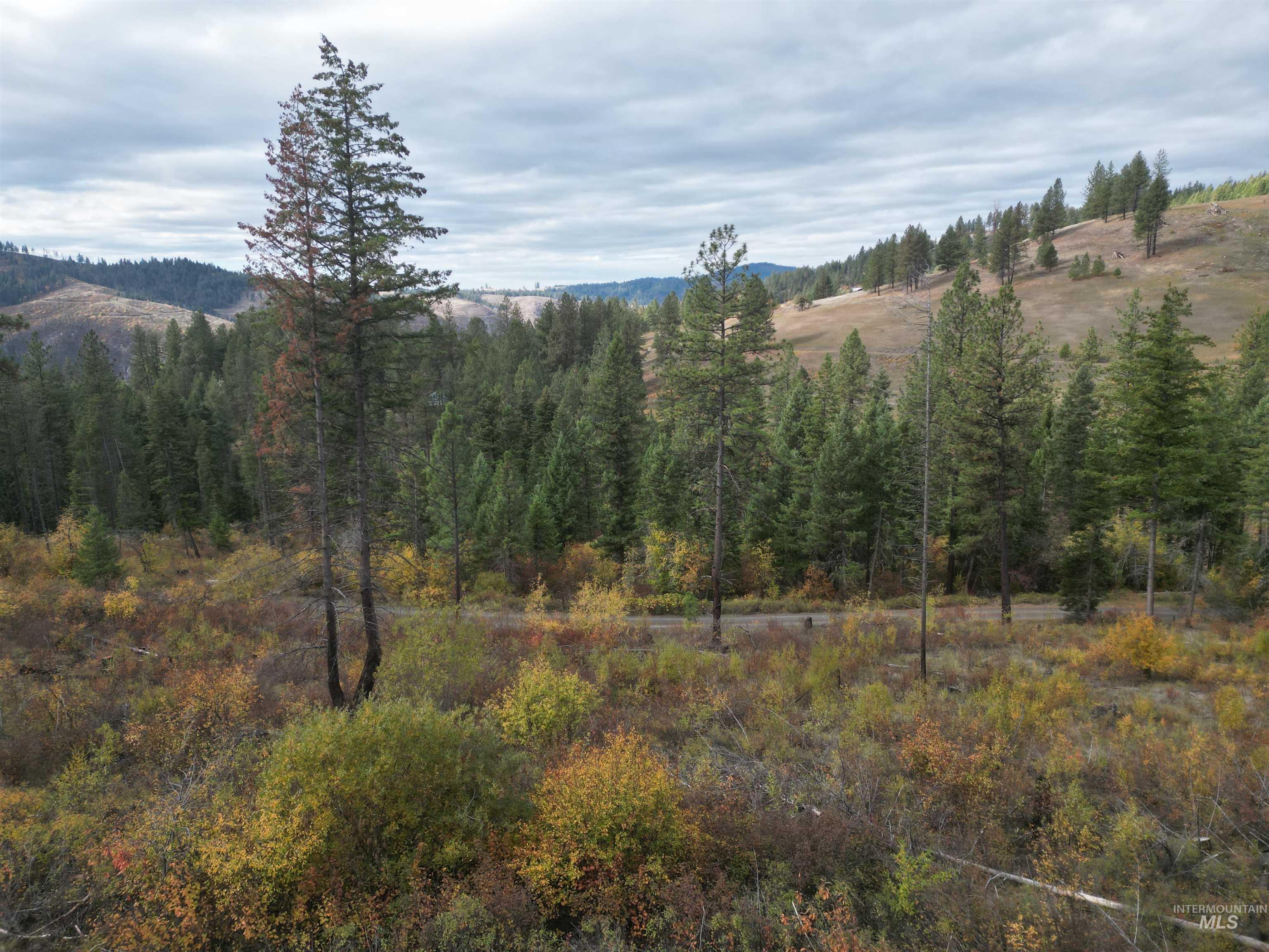 905 Hidden Valley Lane, Weippe, Idaho 83553, Land For Sale, Price $169,000,MLS 98980724