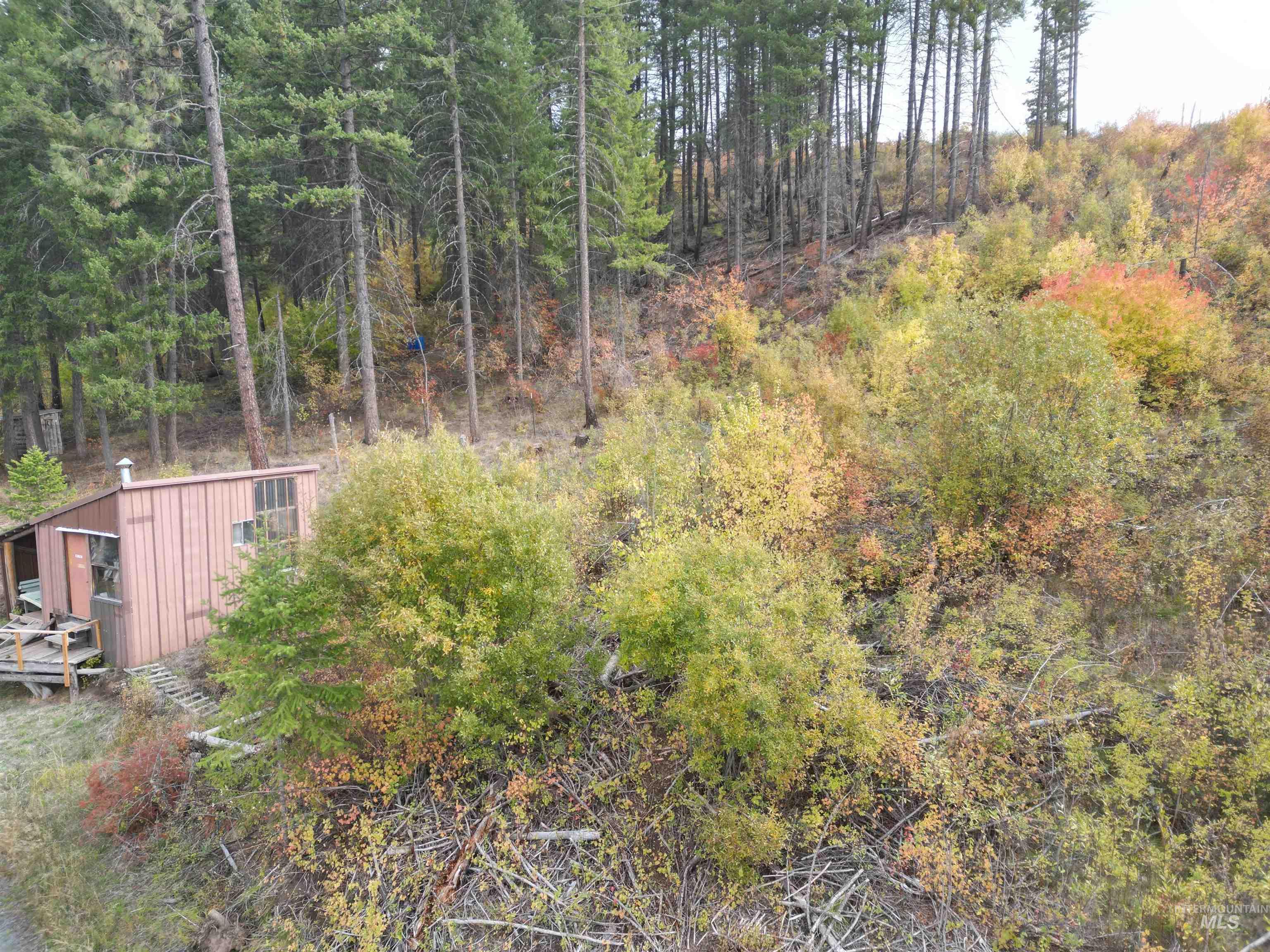 905 Hidden Valley Lane, Weippe, Idaho 83553, Land For Sale, Price $169,000,MLS 98980724