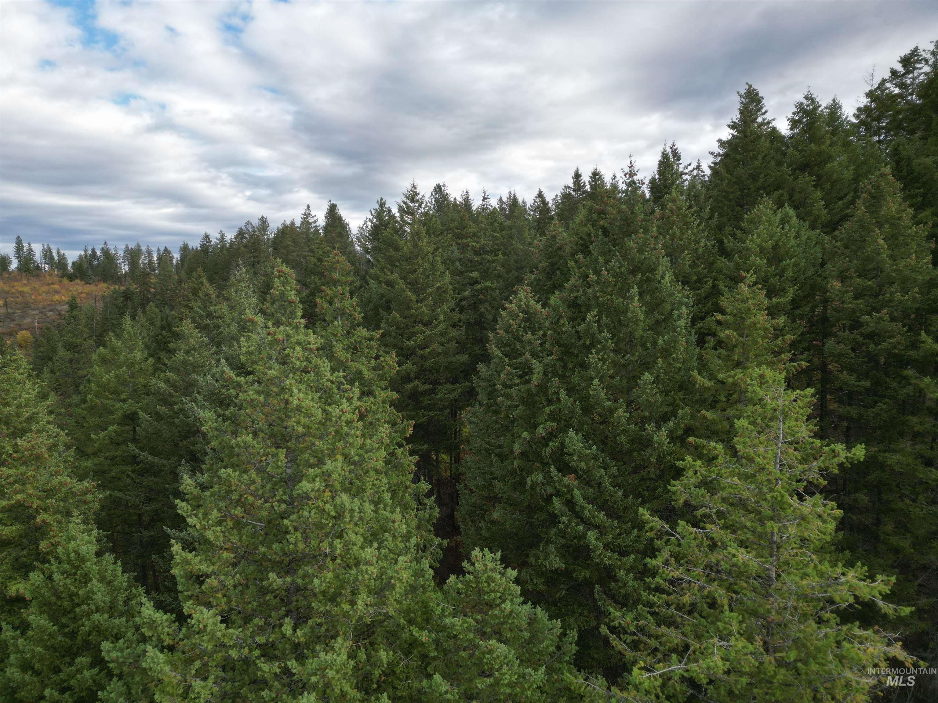 905 Hidden Valley Lane, Weippe, Idaho 83553, Land For Sale, Price $169,000,MLS 98980724