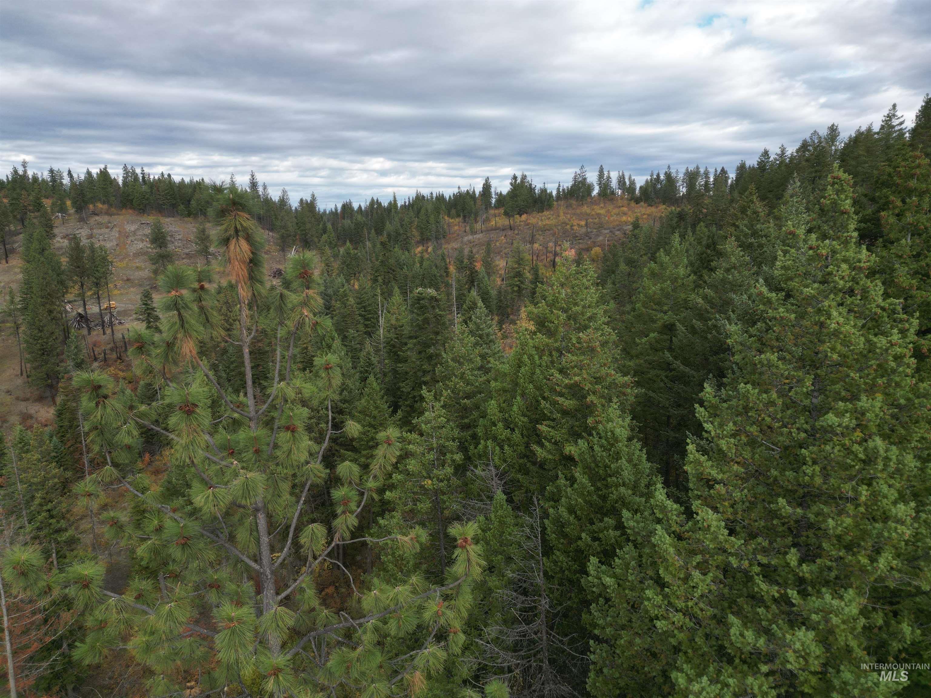 905 Hidden Valley Lane, Weippe, Idaho 83553, Land For Sale, Price $169,000,MLS 98980724