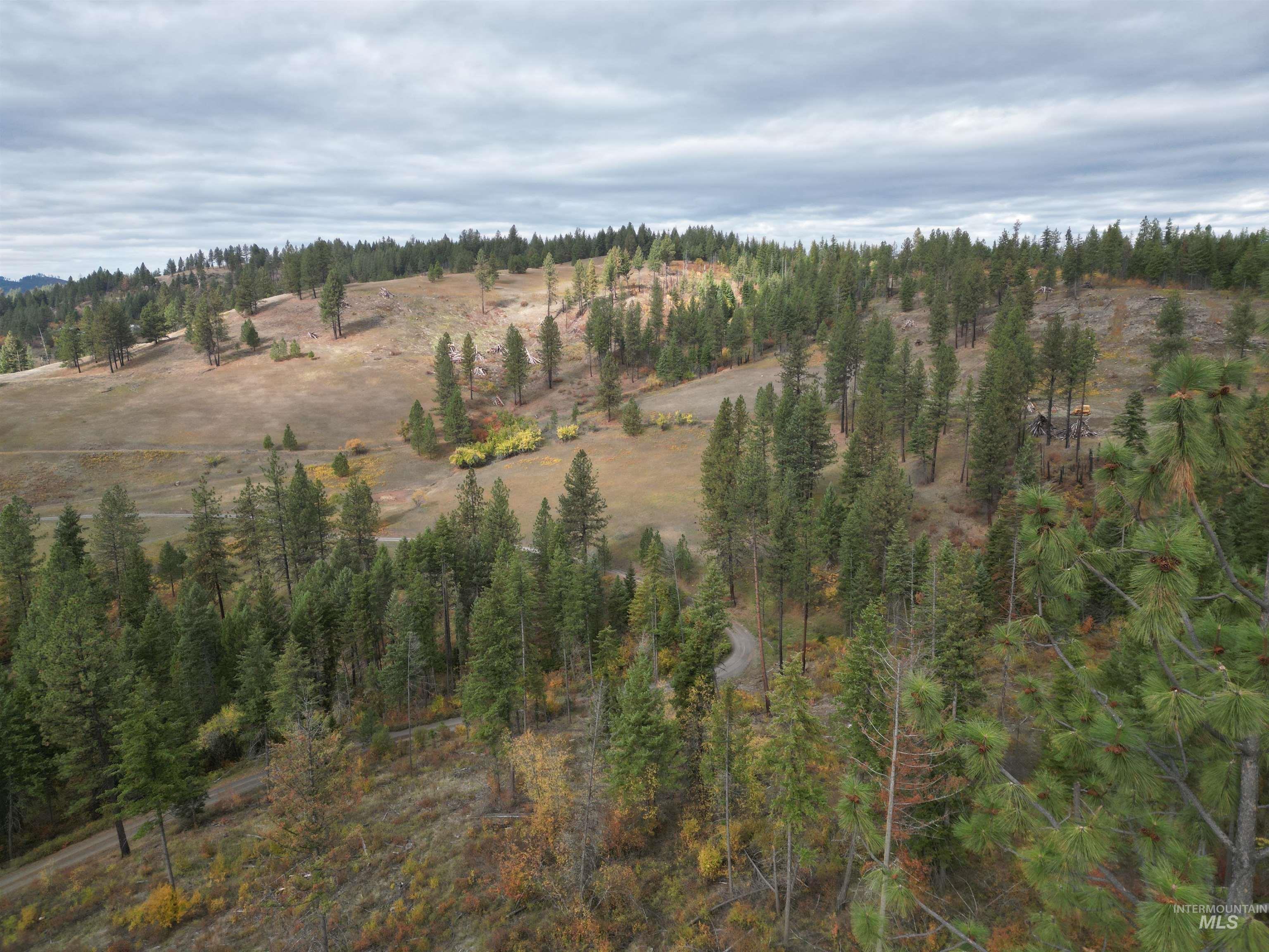 905 Hidden Valley Lane, Weippe, Idaho 83553, Land For Sale, Price $169,000,MLS 98980724