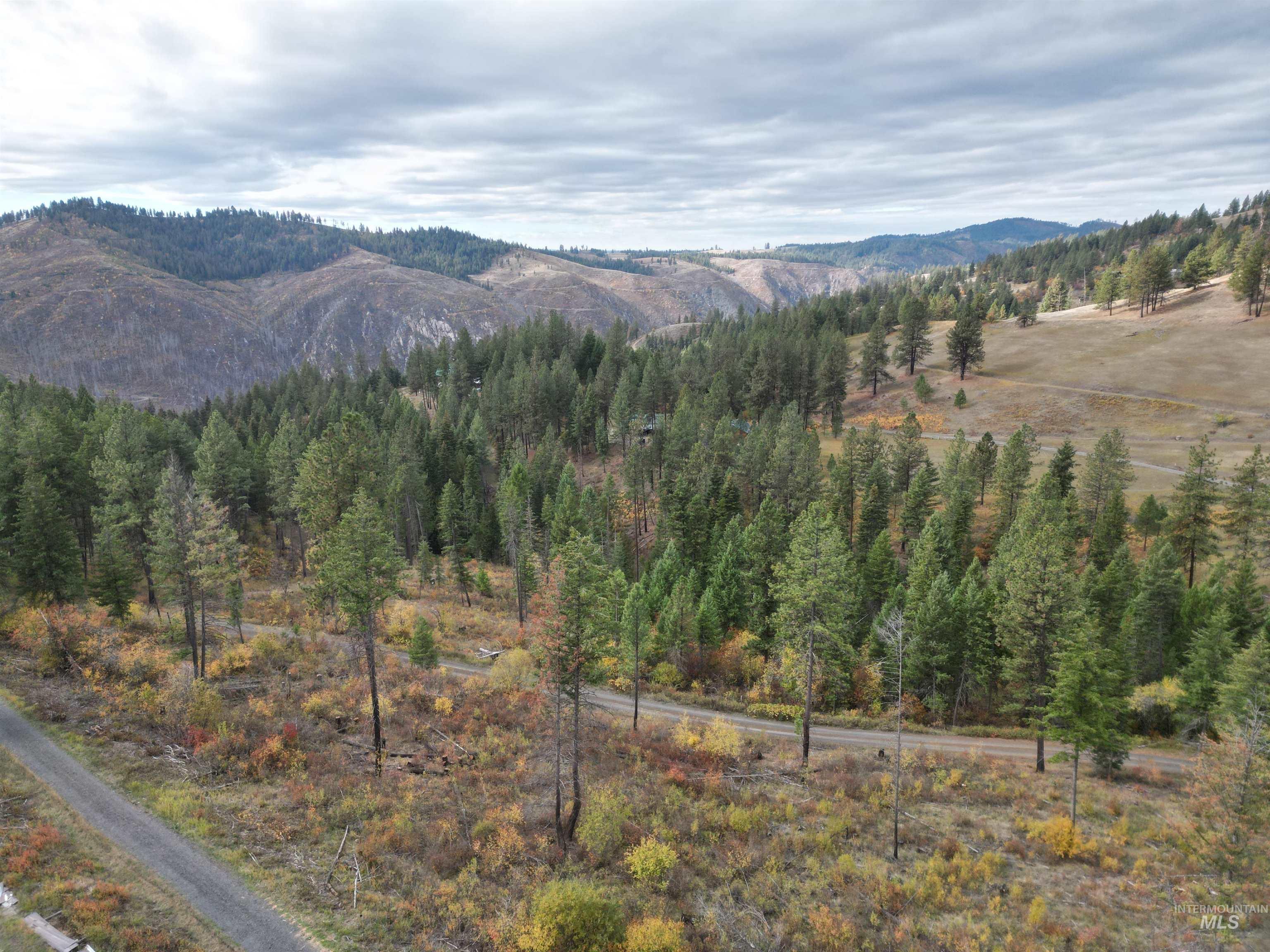 905 Hidden Valley Lane, Weippe, Idaho 83553, Land For Sale, Price $169,000,MLS 98980724