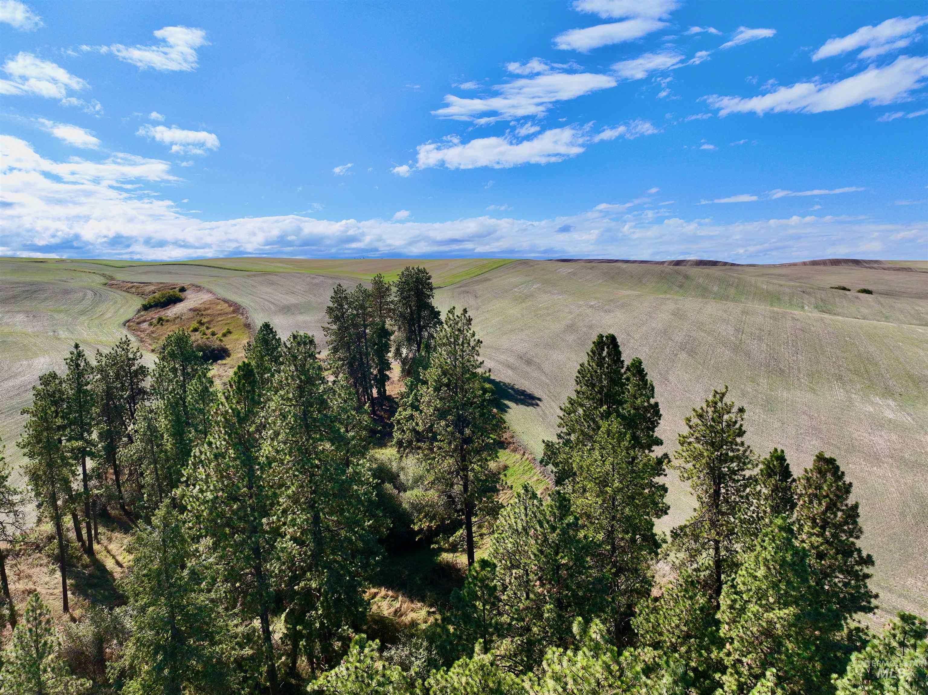 TBD Central Ridge Rd, Craigmont, Idaho 83523, Farm & Ranch For Sale, Price $480,000, 98980726
