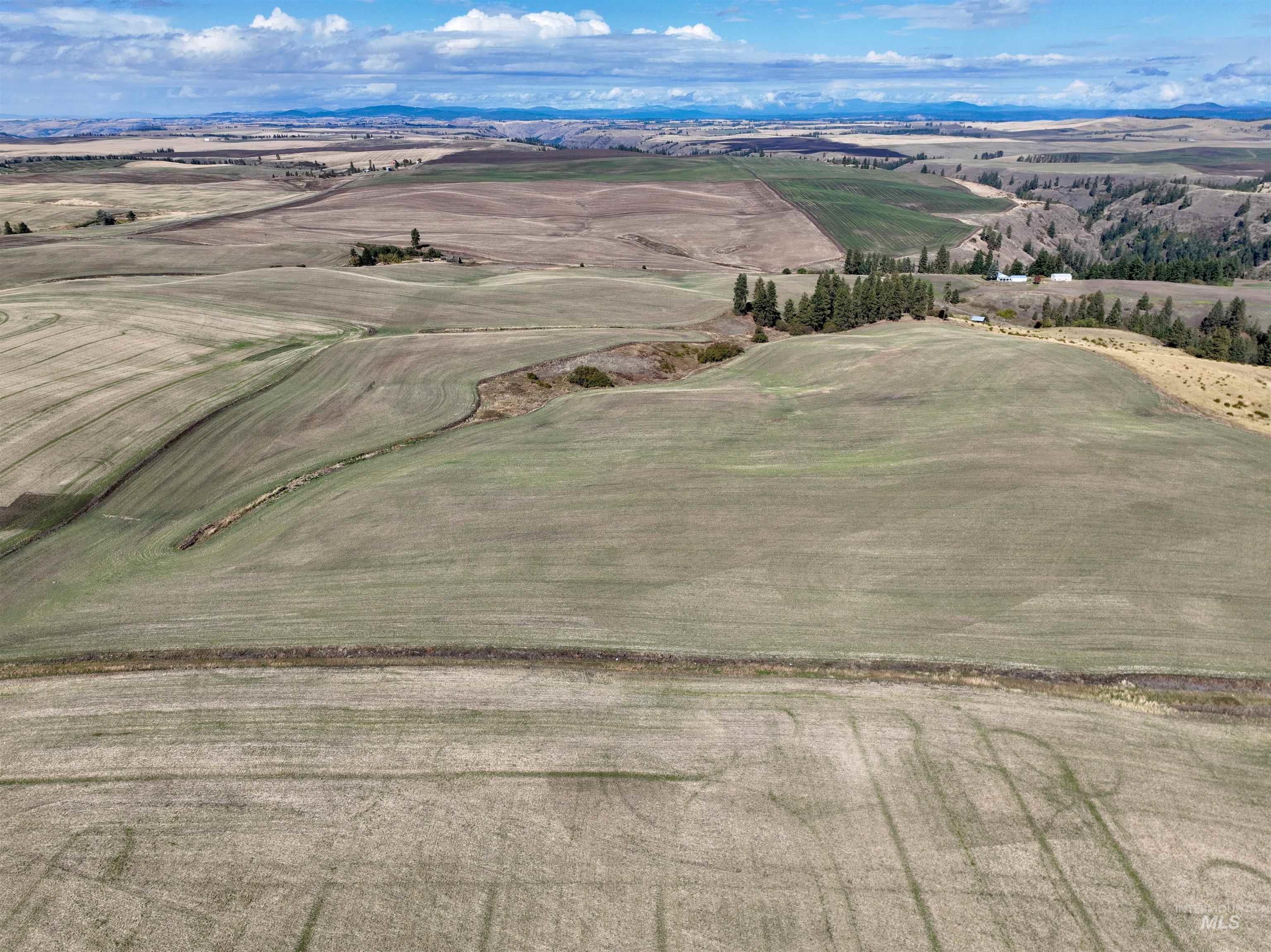 TBD Central Ridge Rd, Craigmont, Idaho 83523, Farm & Ranch For Sale, Price $480,000, 98980726