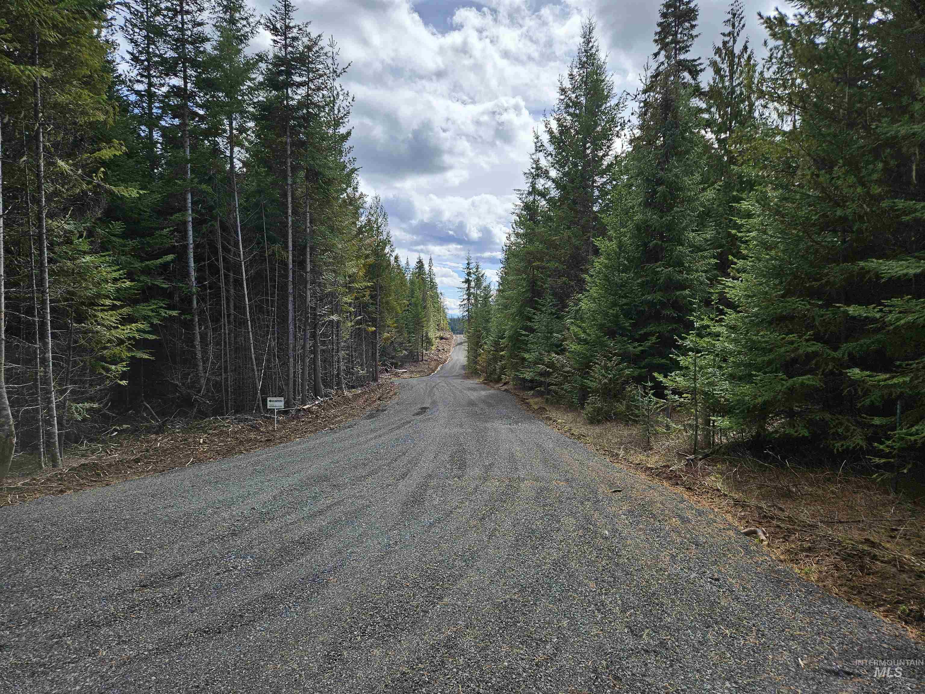 TBD Lot #9 Spring Lane, Weippe, Idaho 83553, Land For Sale, Price $100,000,MLS 98980738