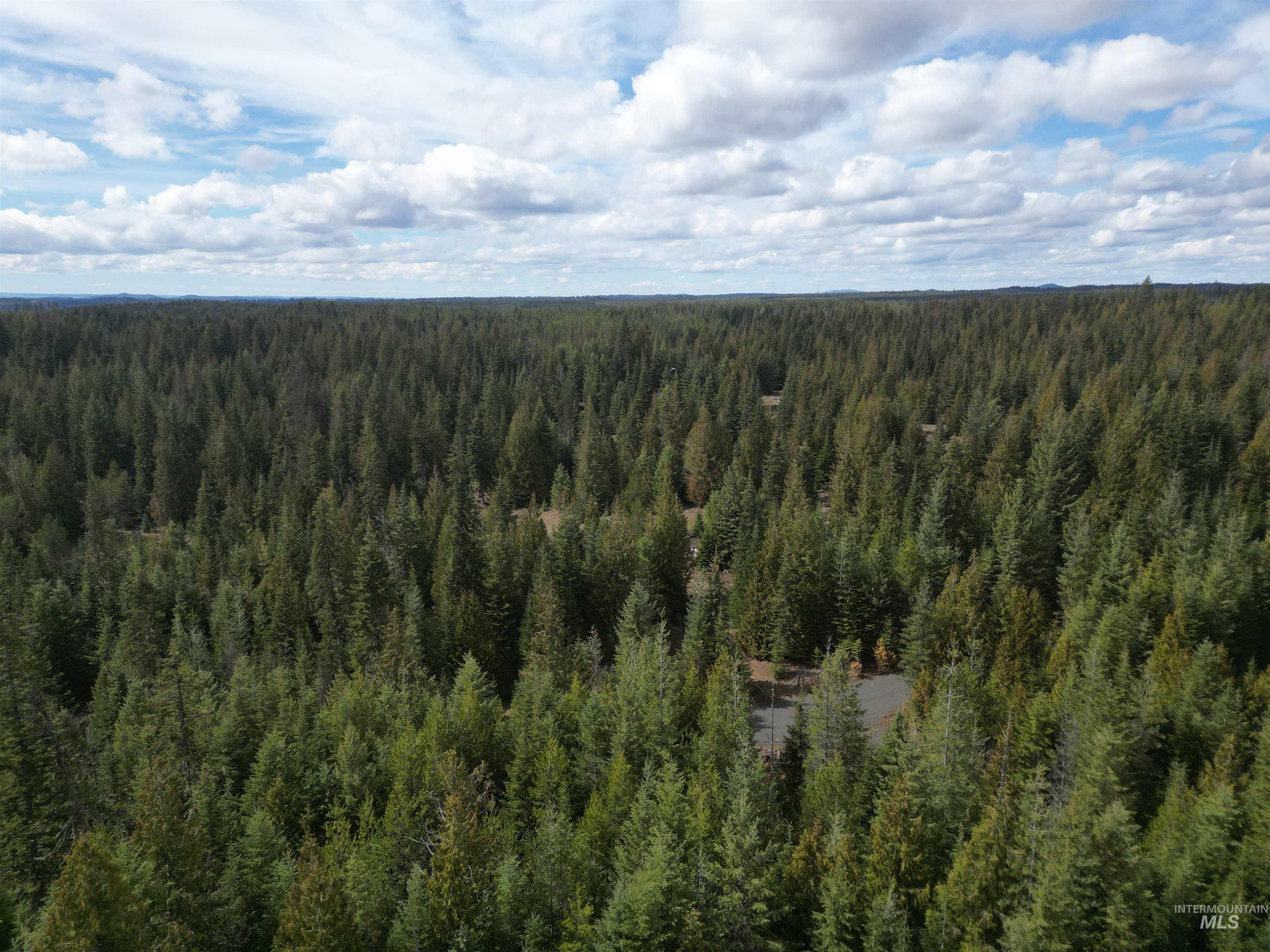 TBD Lot #9 Spring Lane, Weippe, Idaho 83553, Land For Sale, Price $100,000,MLS 98980738