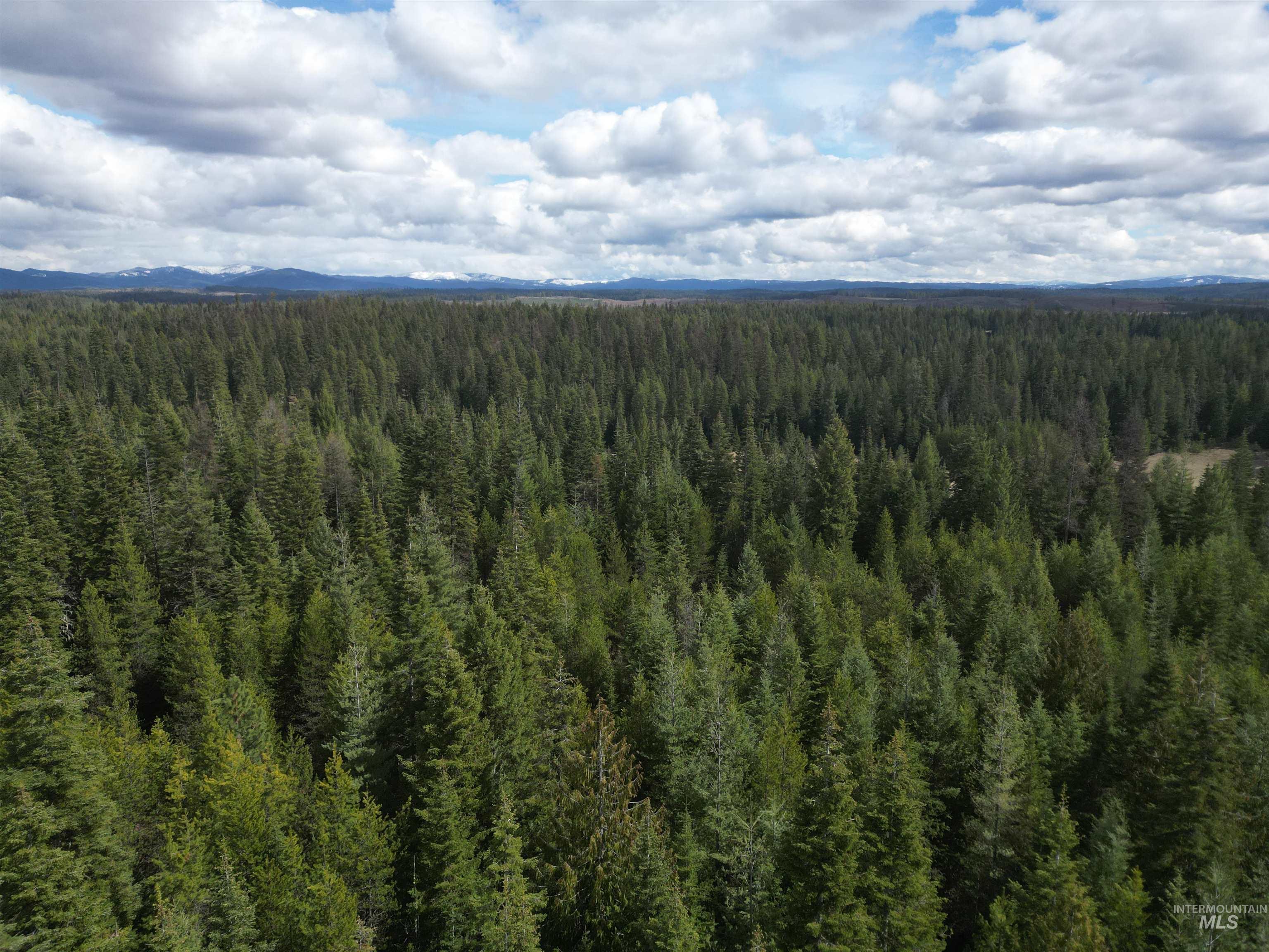 TBD Lot #9 Spring Lane, Weippe, Idaho 83553, Land For Sale, Price $100,000,MLS 98980738