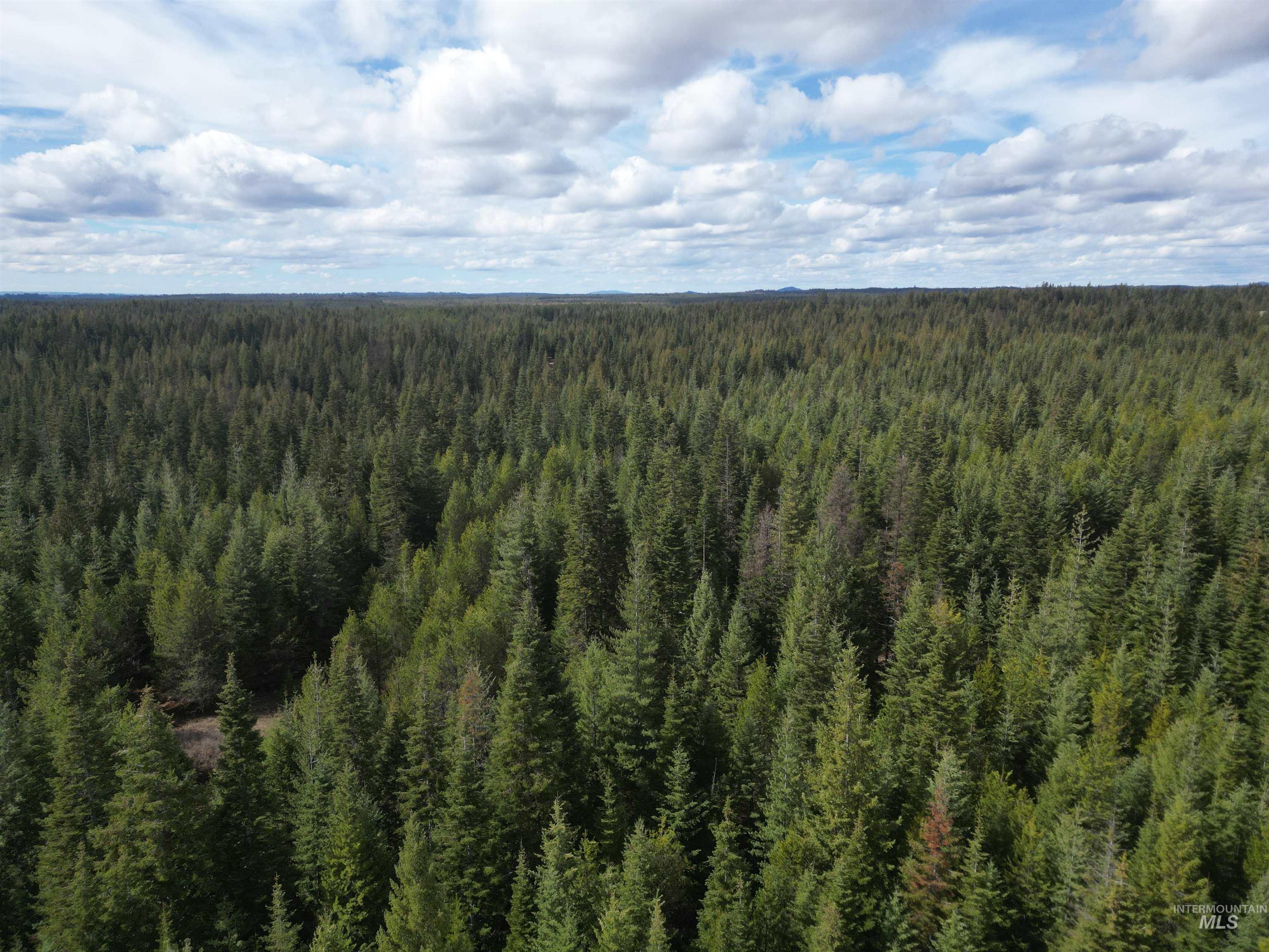 TBD Lot #9 Spring Lane, Weippe, Idaho 83553, Land For Sale, Price $100,000,MLS 98980738