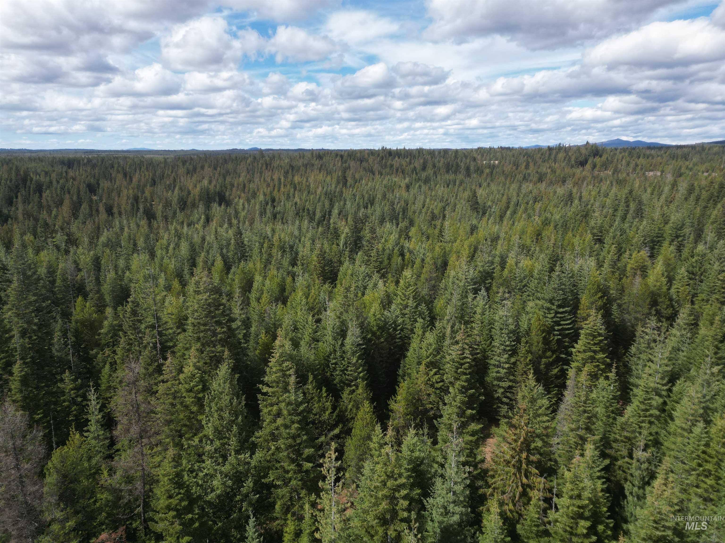 TBD Lot #9 Spring Lane, Weippe, Idaho 83553, Land For Sale, Price $100,000,MLS 98980738