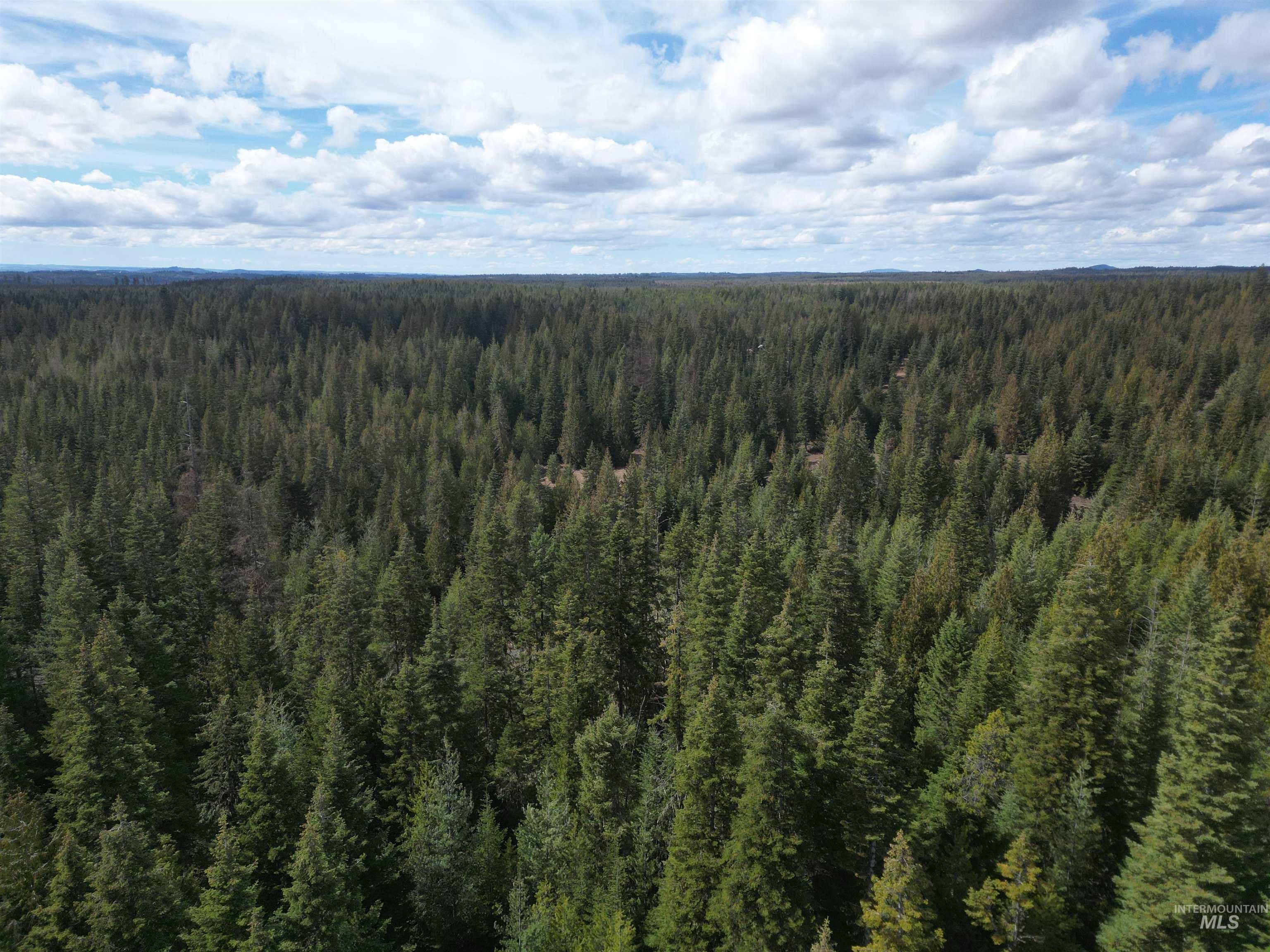 TBD Lot #9 Spring Lane, Weippe, Idaho 83553, Land For Sale, Price $100,000,MLS 98980738