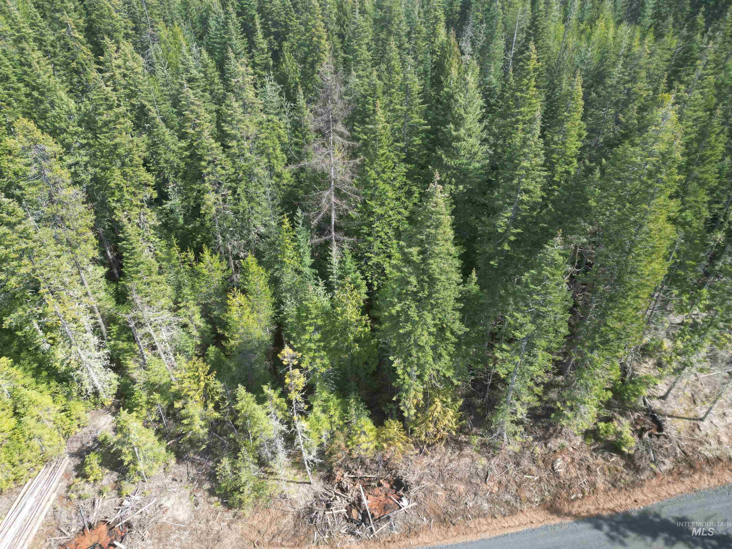 TBD Lot #9 Spring Lane, Weippe, Idaho 83553, Land For Sale, Price $100,000,MLS 98980738