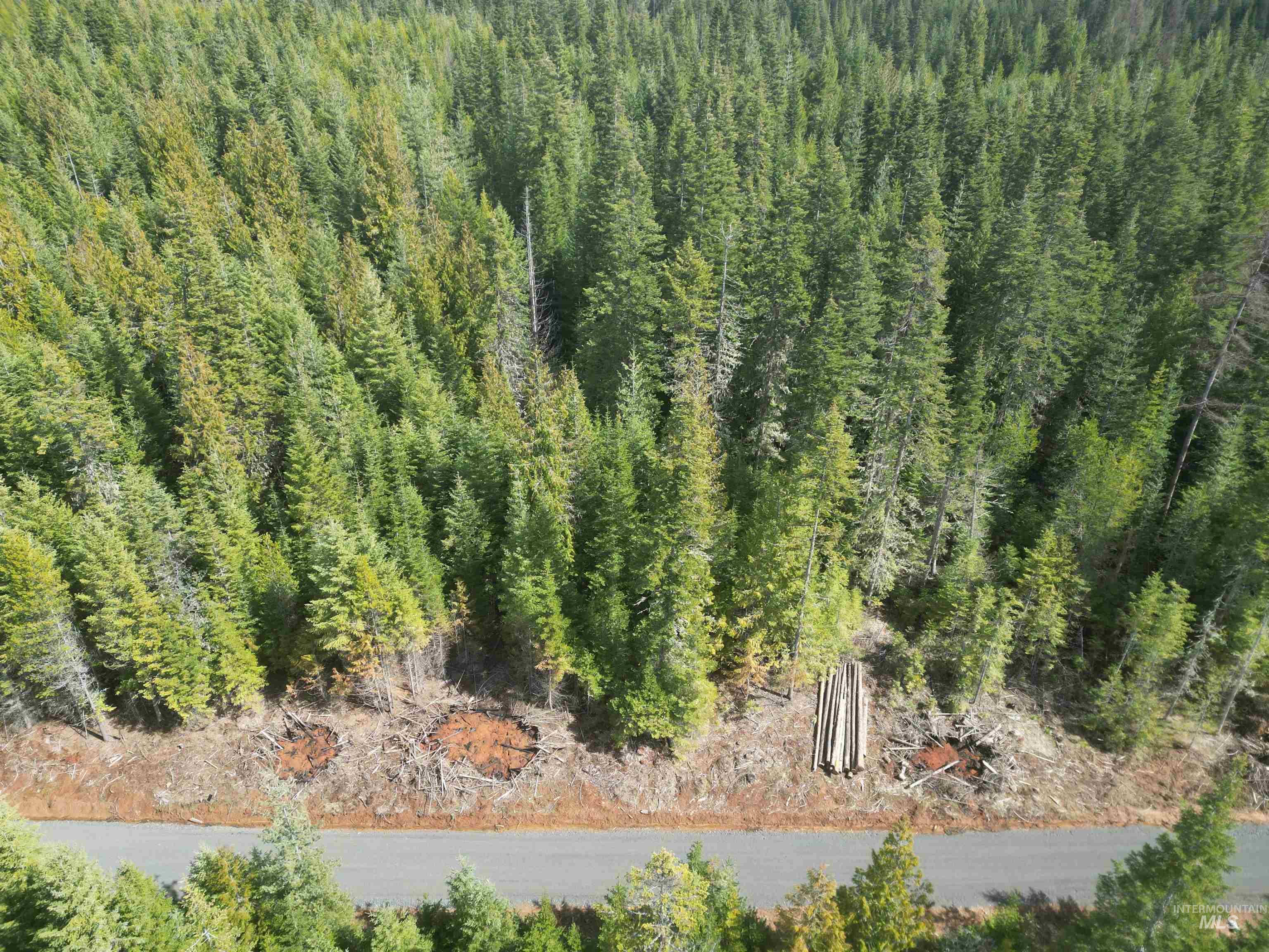 TBD Lot #9 Spring Lane, Weippe, Idaho 83553, Land For Sale, Price $100,000,MLS 98980738