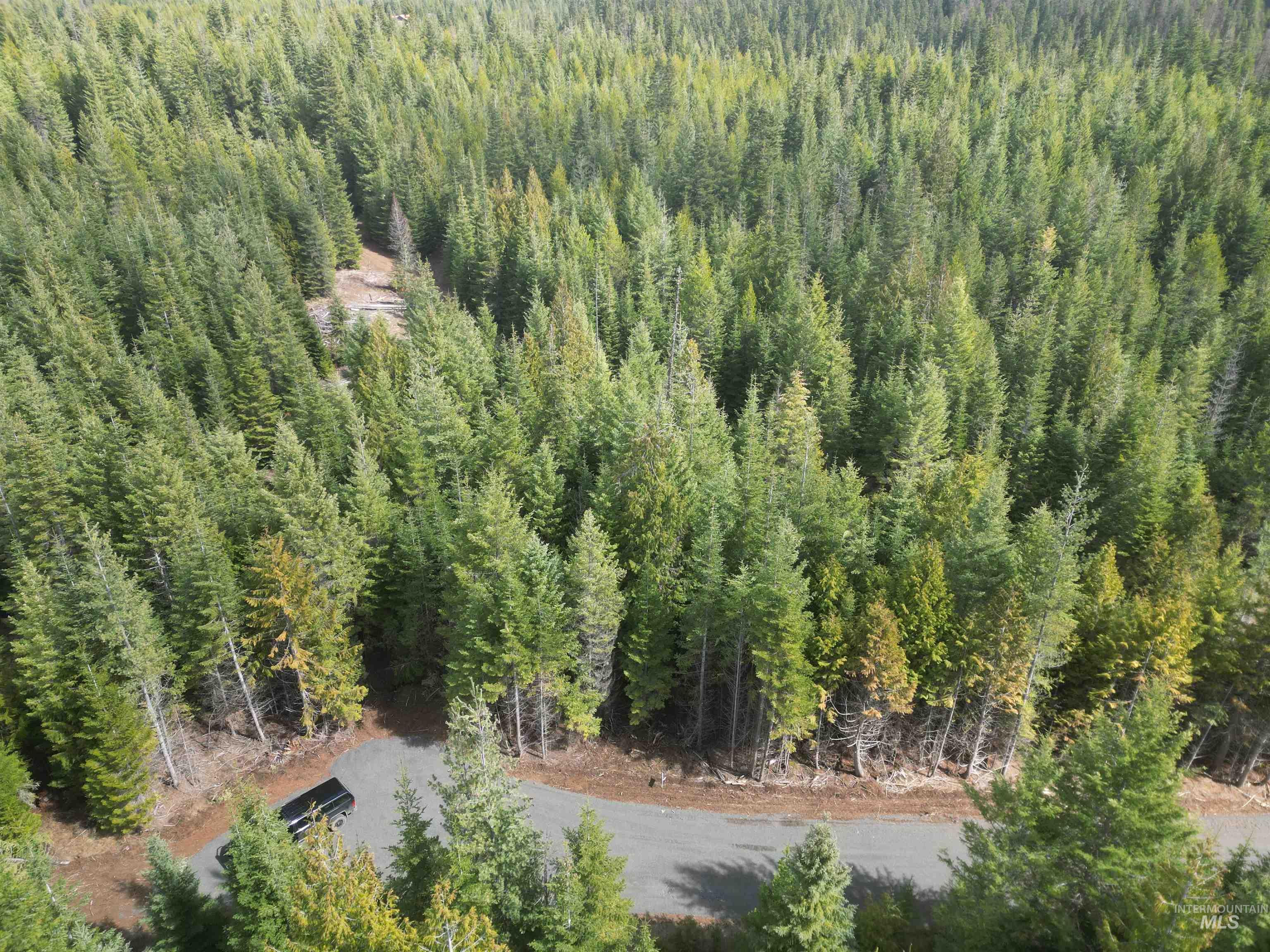 TBD Lot #9 Spring Lane, Weippe, Idaho 83553, Land For Sale, Price $100,000,MLS 98980738