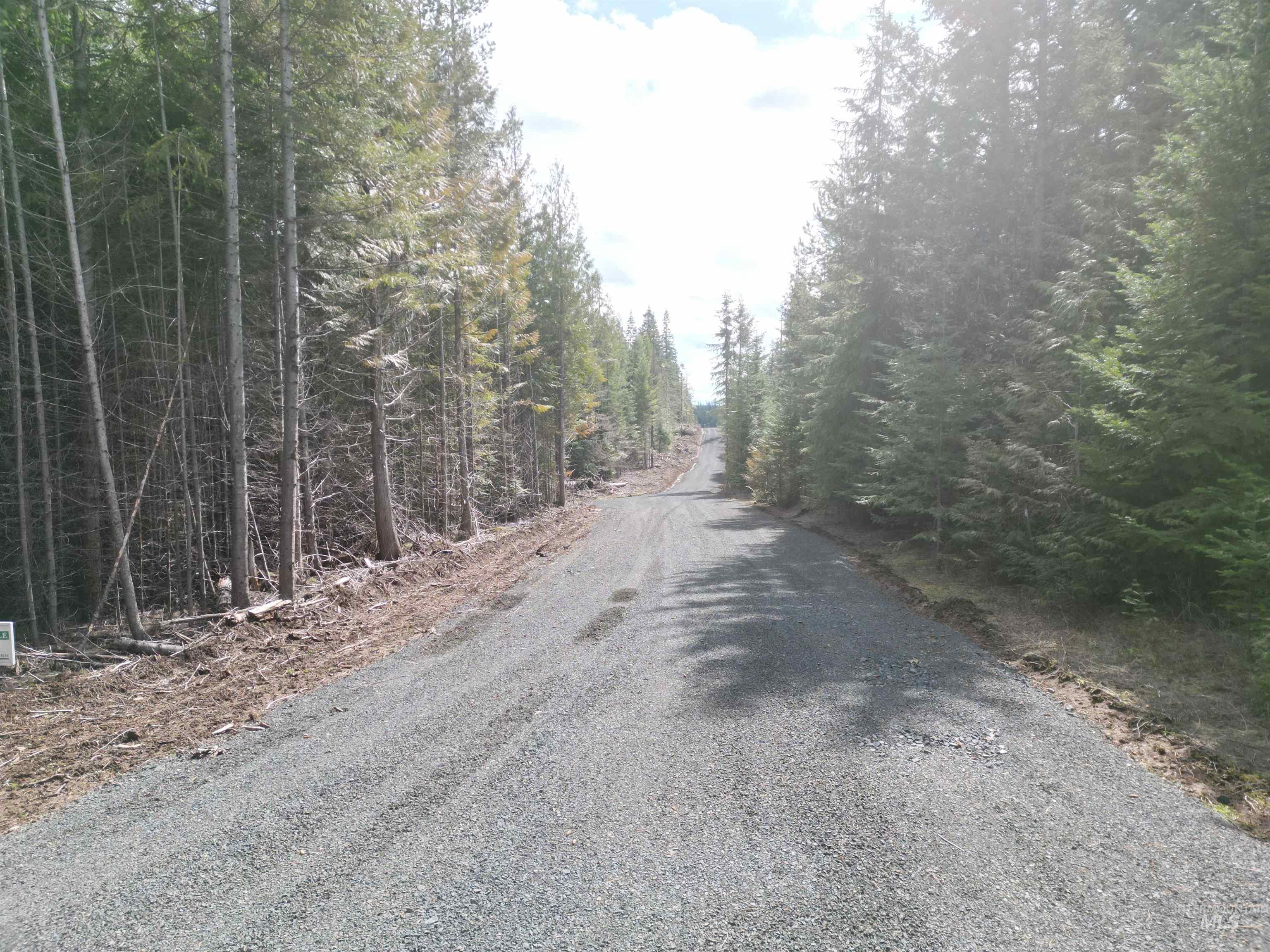 TBD Lot #9 Spring Lane, Weippe, Idaho 83553, Land For Sale, Price $100,000,MLS 98980738