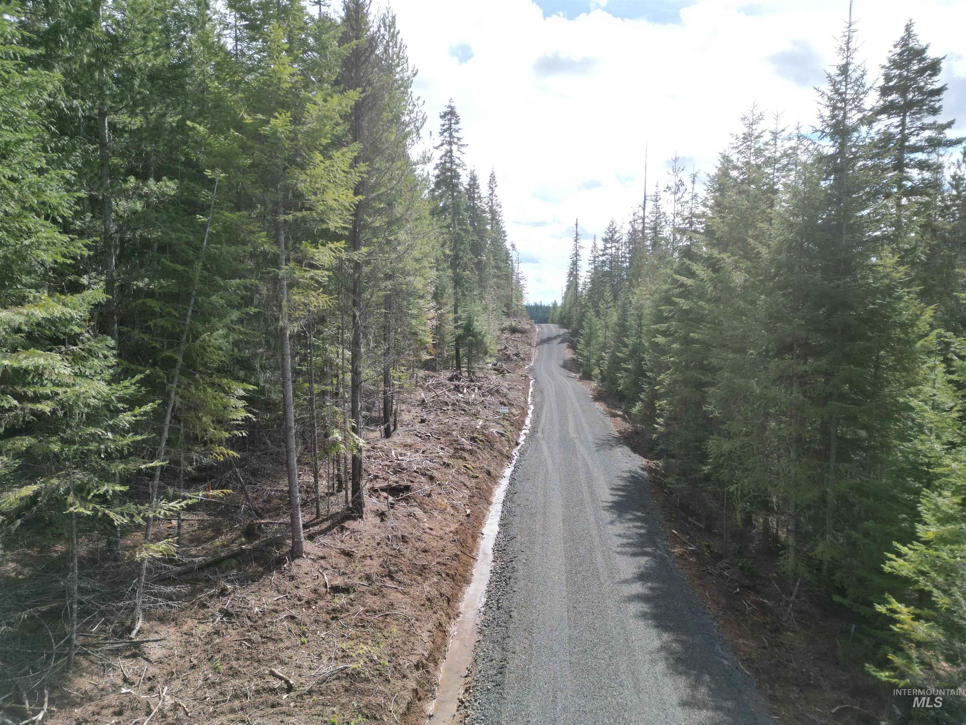 TBD Lot #9 Spring Lane, Weippe, Idaho 83553, Land For Sale, Price $100,000,MLS 98980738