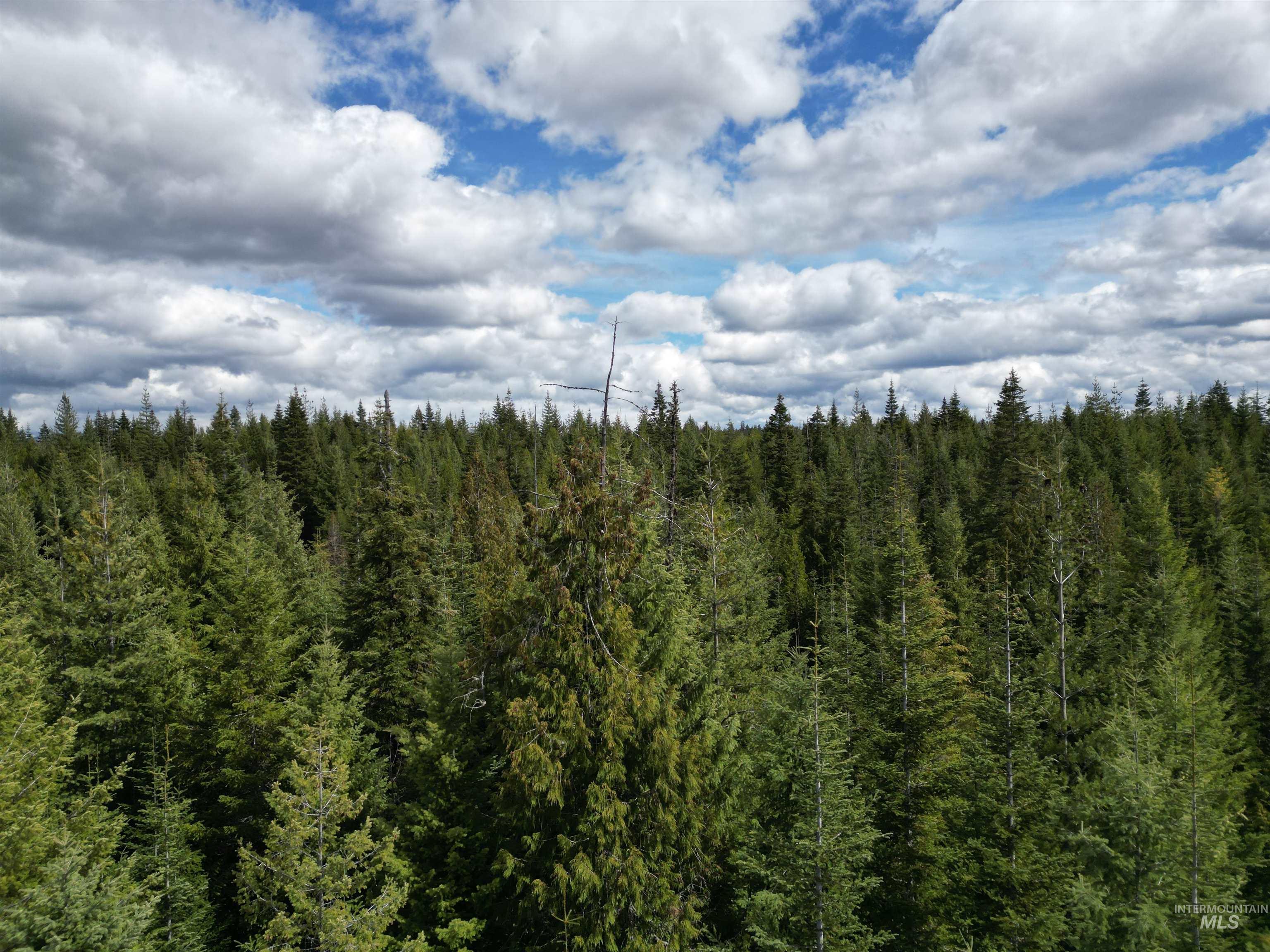 TBD Lot #9 Spring Lane, Weippe, Idaho 83553, Land For Sale, Price $100,000,MLS 98980738