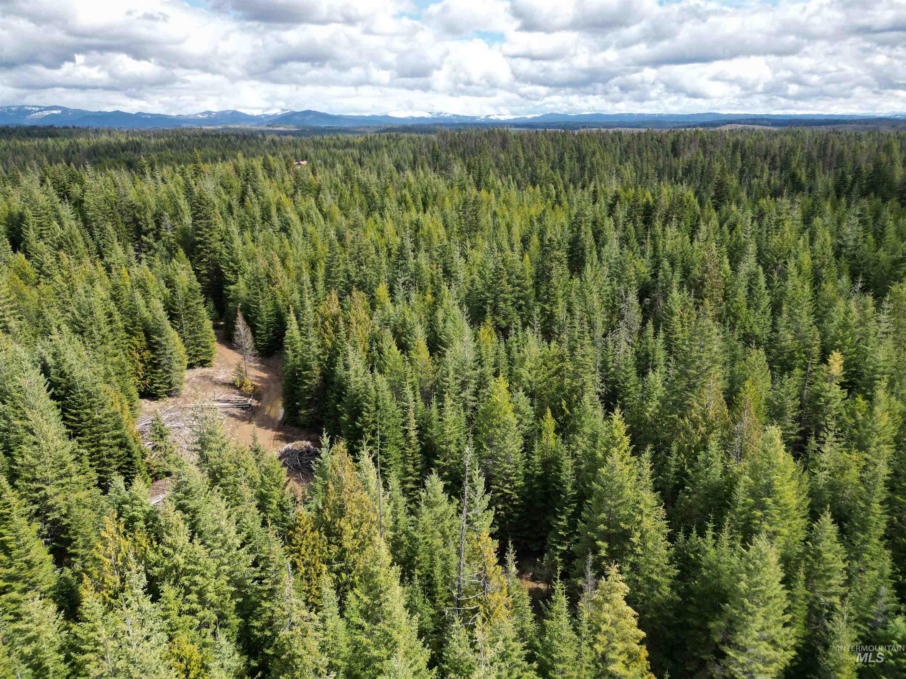 TBD Lot #9 Spring Lane, Weippe, Idaho 83553, Land For Sale, Price $100,000,MLS 98980738