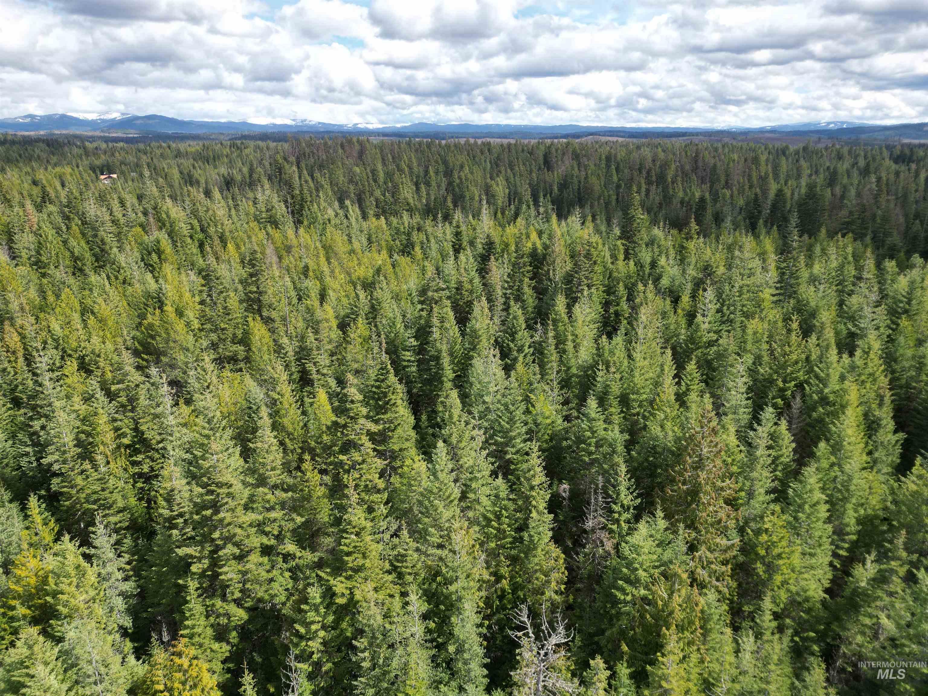 TBD Lot #9 Spring Lane, Weippe, Idaho 83553, Land For Sale, Price $100,000,MLS 98980738