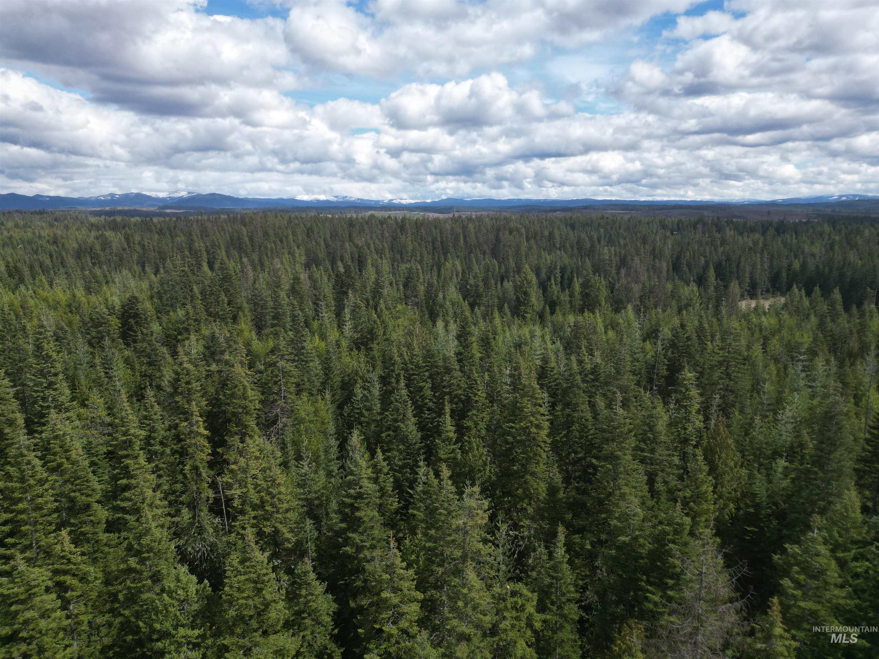 TBD Lot 10 Spring Lane, Weippe, Idaho 83553, Land For Sale, Price $100,000,MLS 98980741