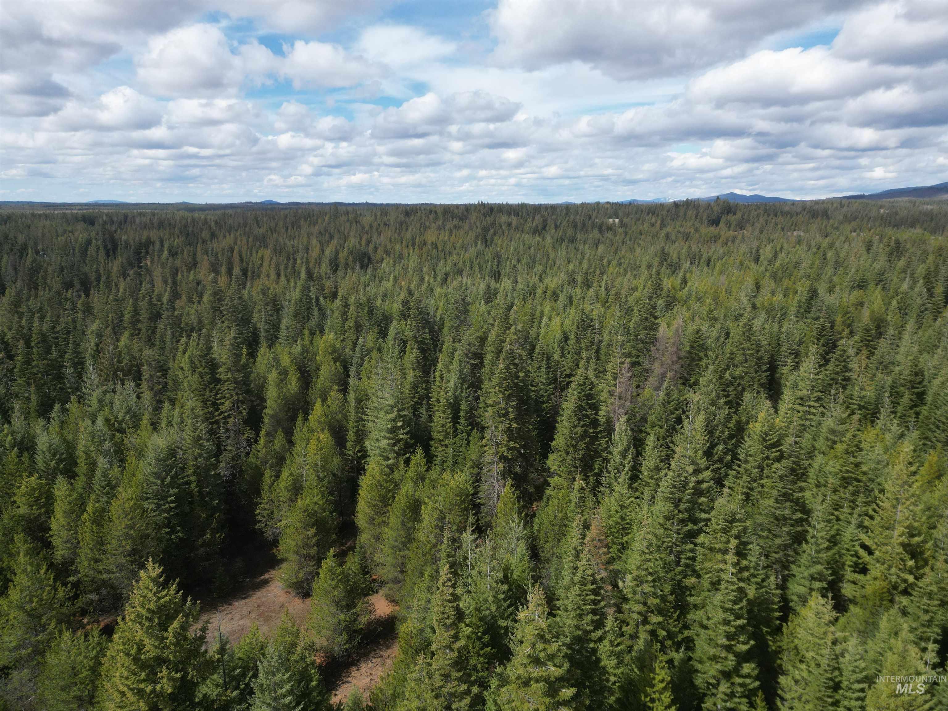 TBD Lot 10 Spring Lane, Weippe, Idaho 83553, Land For Sale, Price $100,000,MLS 98980741