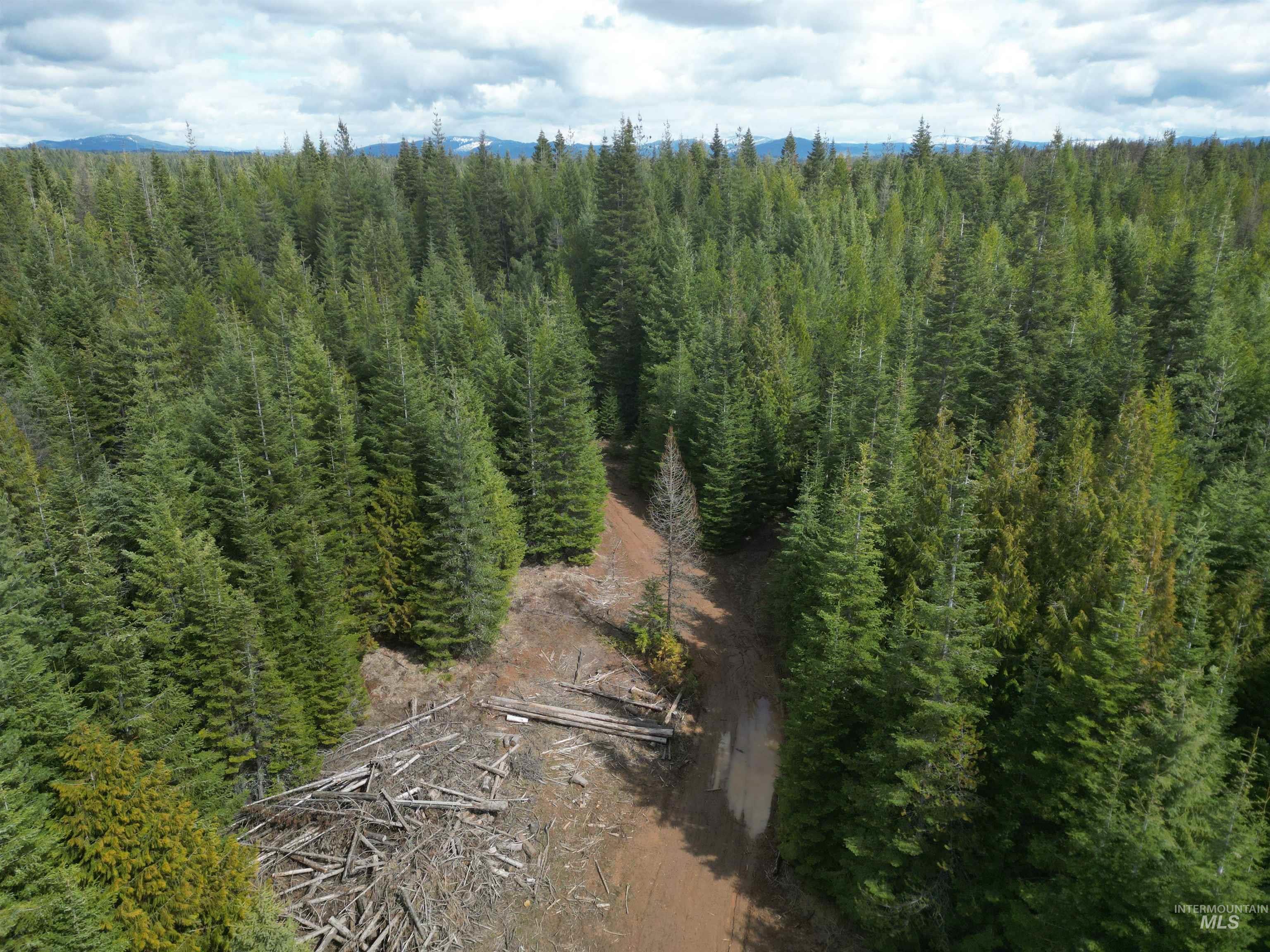 TBD Lot 10 Spring Lane, Weippe, Idaho 83553, Land For Sale, Price $100,000,MLS 98980741