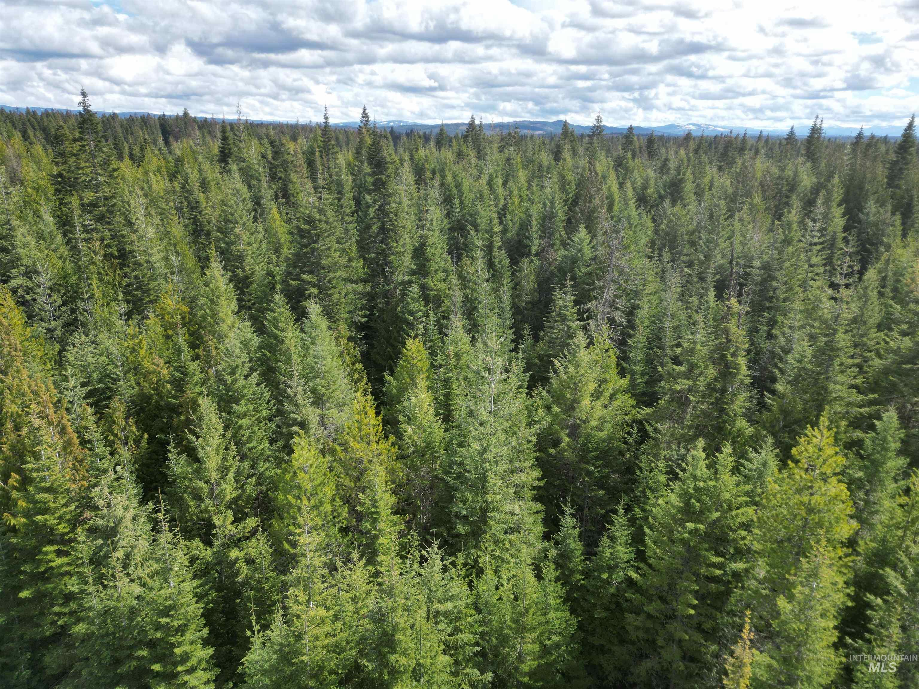 TBD Lot 10 Spring Lane, Weippe, Idaho 83553, Land For Sale, Price $100,000,MLS 98980741