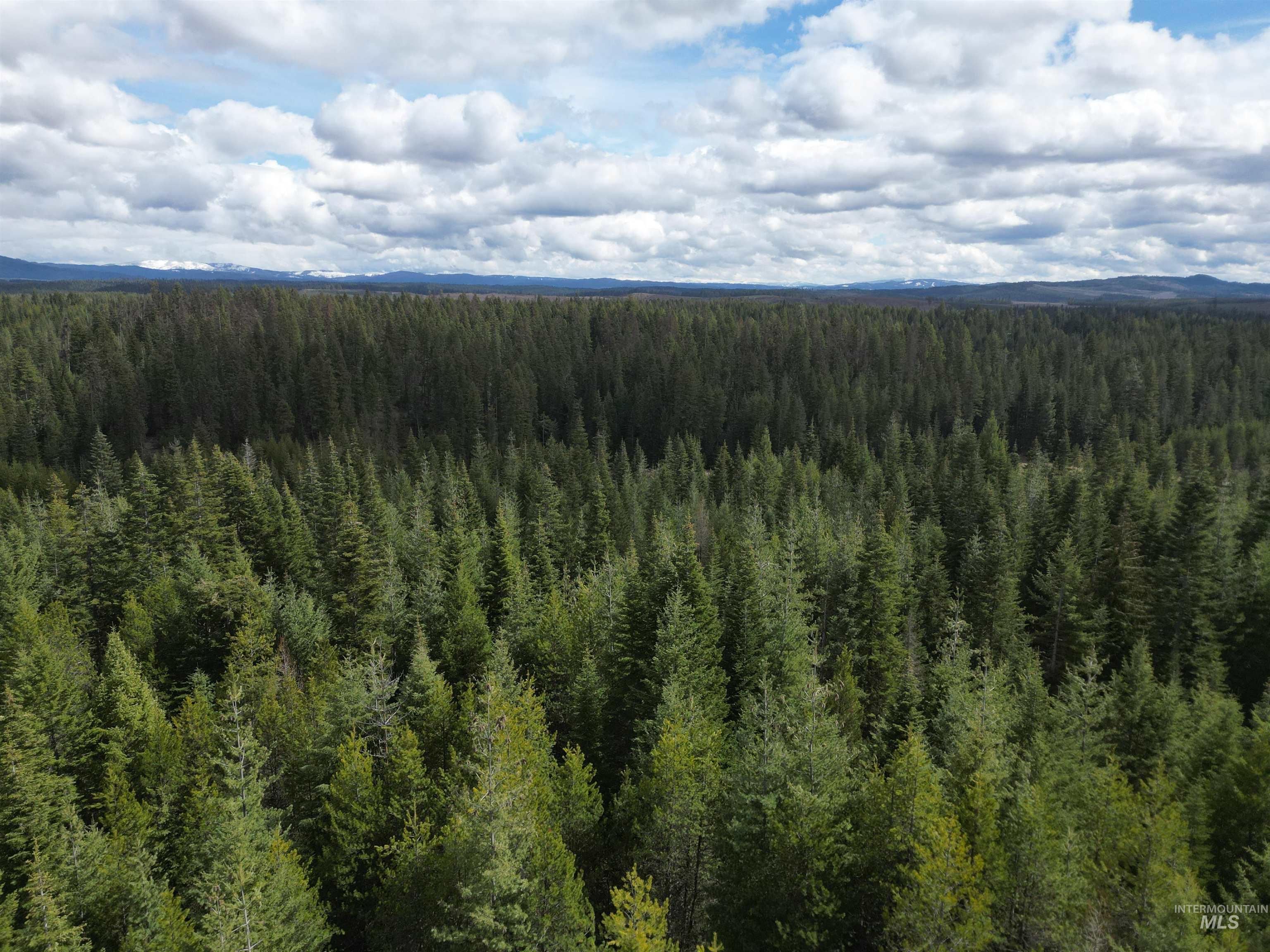 TBD Lot 10 Spring Lane, Weippe, Idaho 83553, Land For Sale, Price $100,000,MLS 98980741